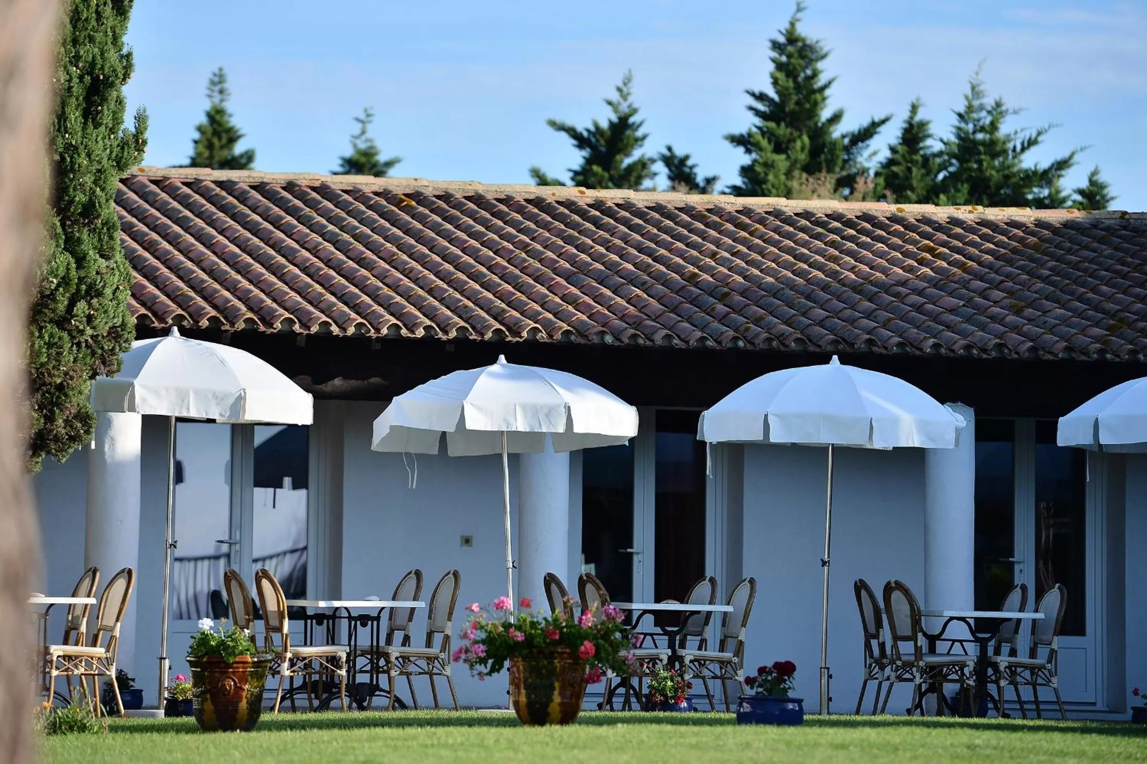 Mas de la Grenouillère Hôtel et Centre équestre en pleine nature