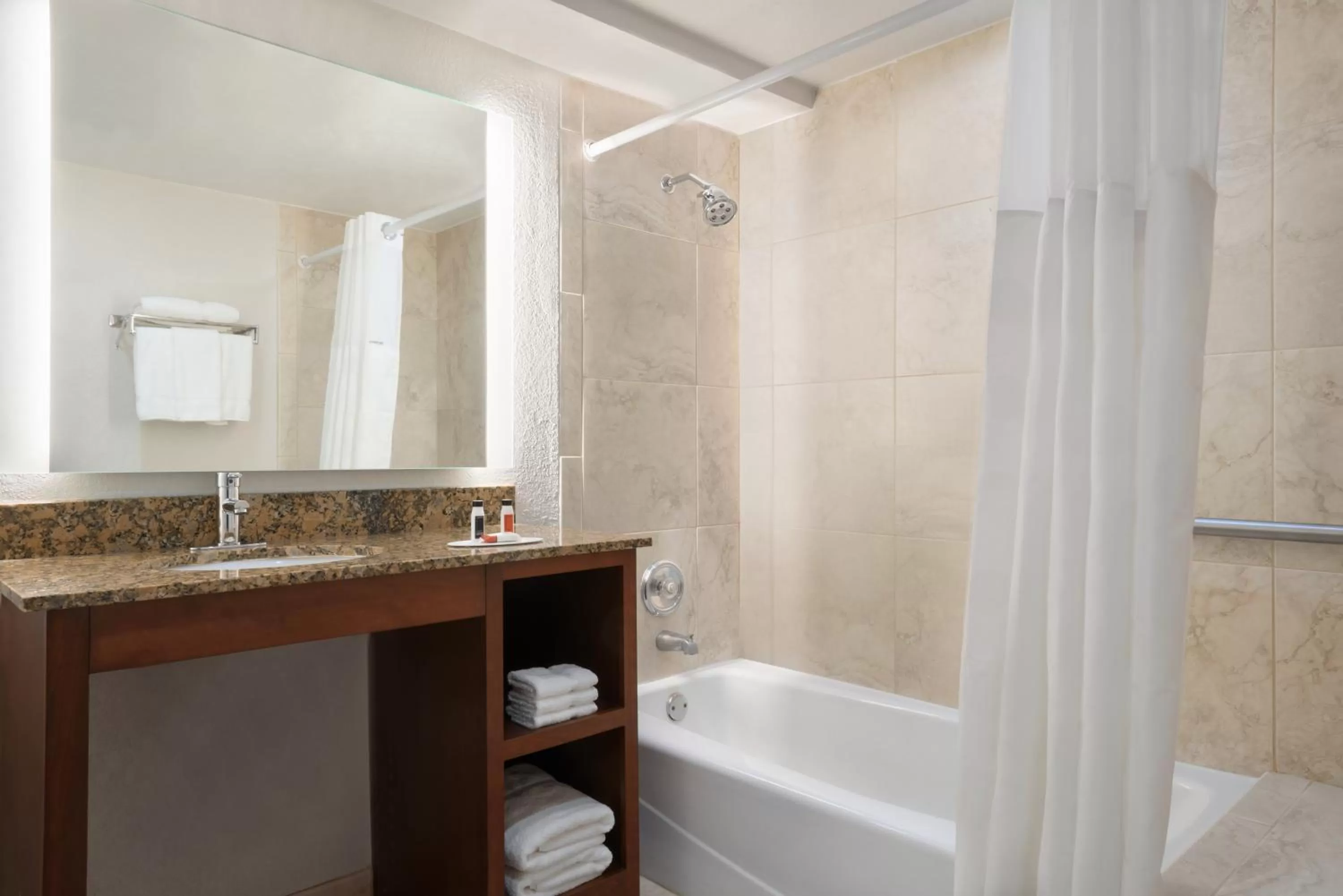 Shower in Wingate by Wyndham South Bend - Notre Dame