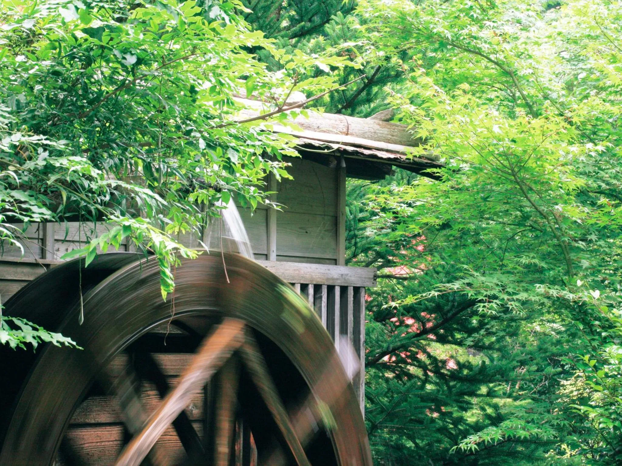 Area and facilities in Suikoen