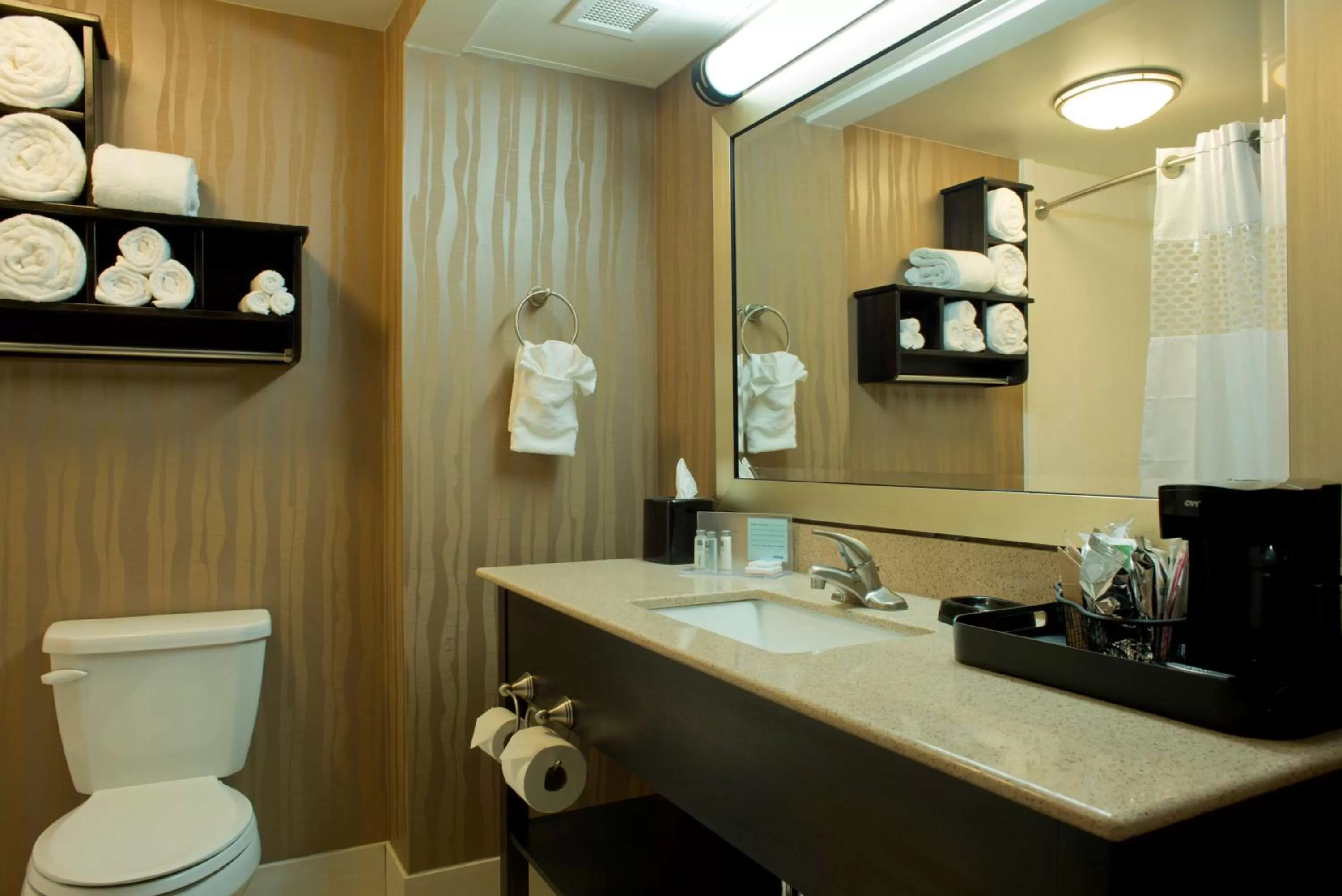 Bathroom in Hampton Inn Milledgeville