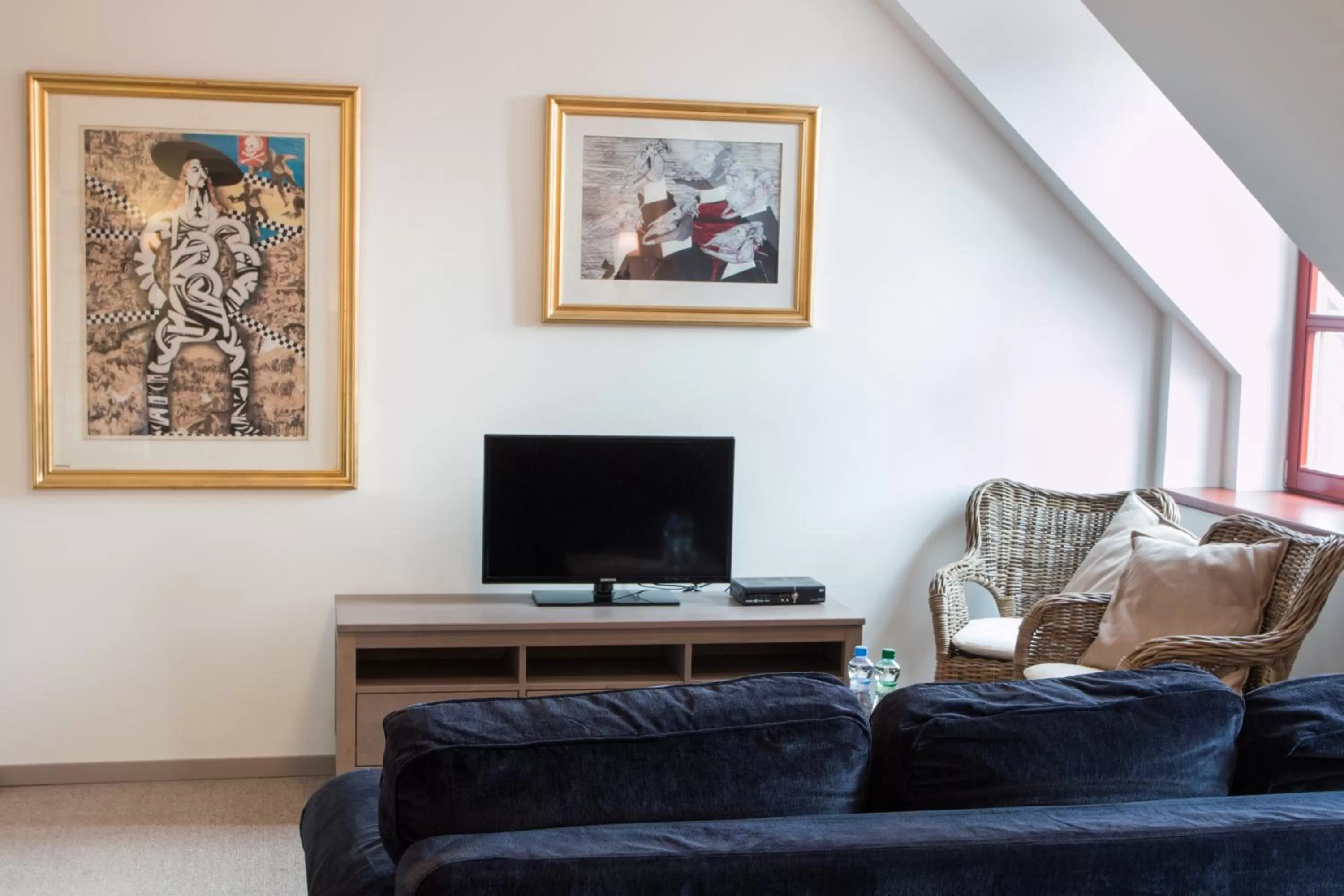 TV and multimedia in Hotel Dvur Hoffmeister