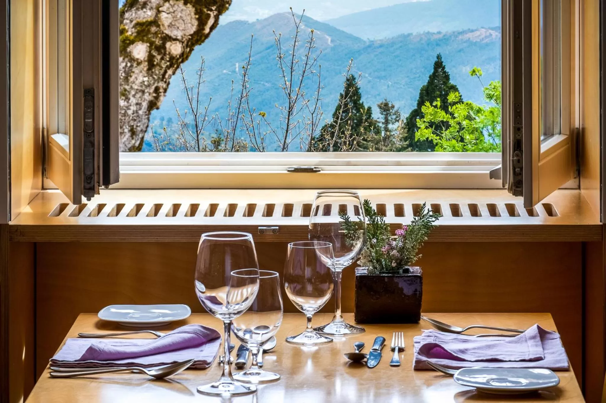 Restaurant/places to eat in Casa das Penhas Douradas - Burel Expedition Hotel