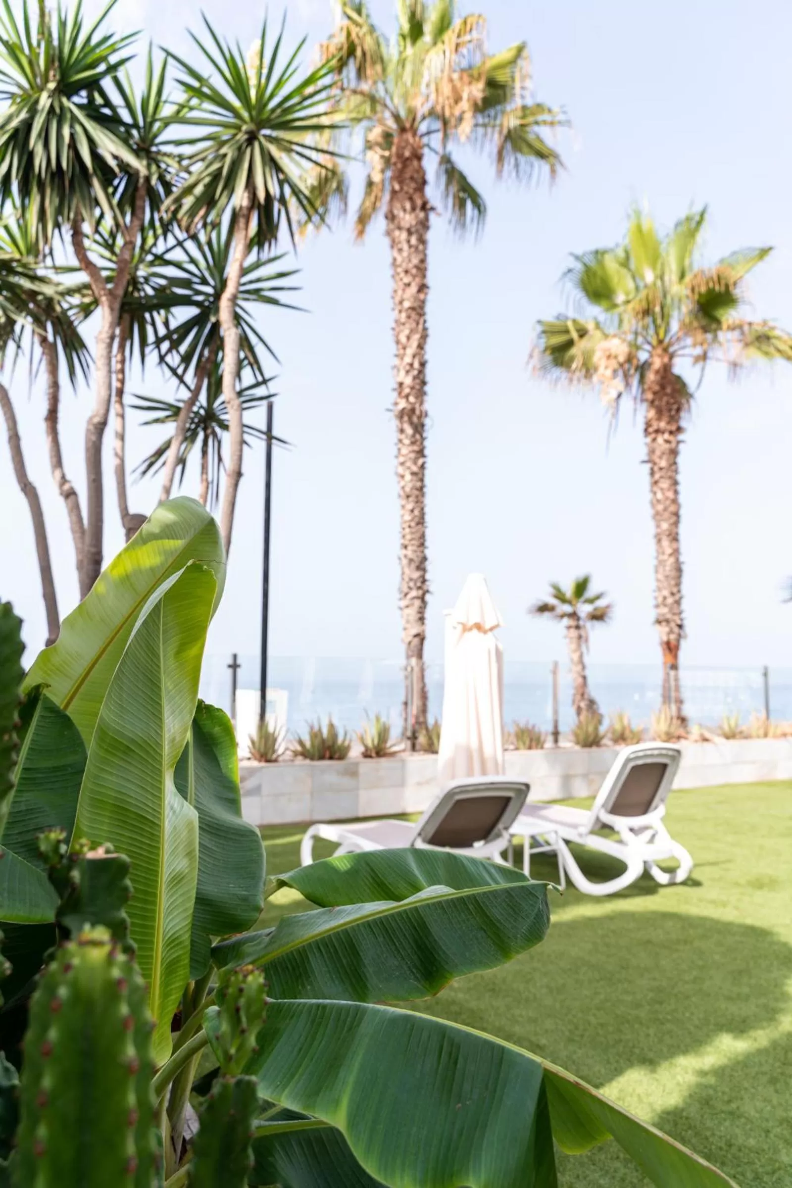 Garden in Hotel Santa Rosa