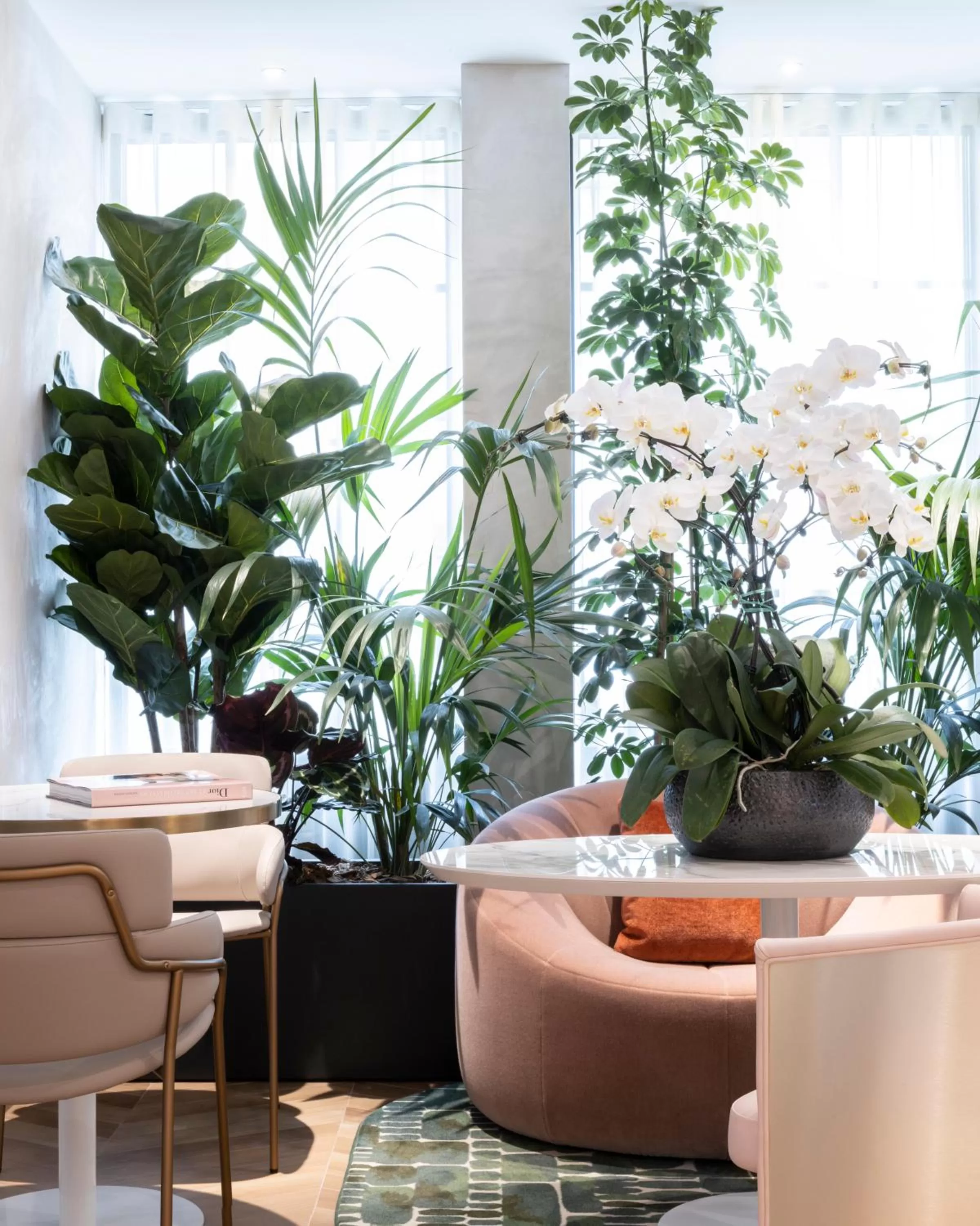 Property building in Hôtel Parisianer