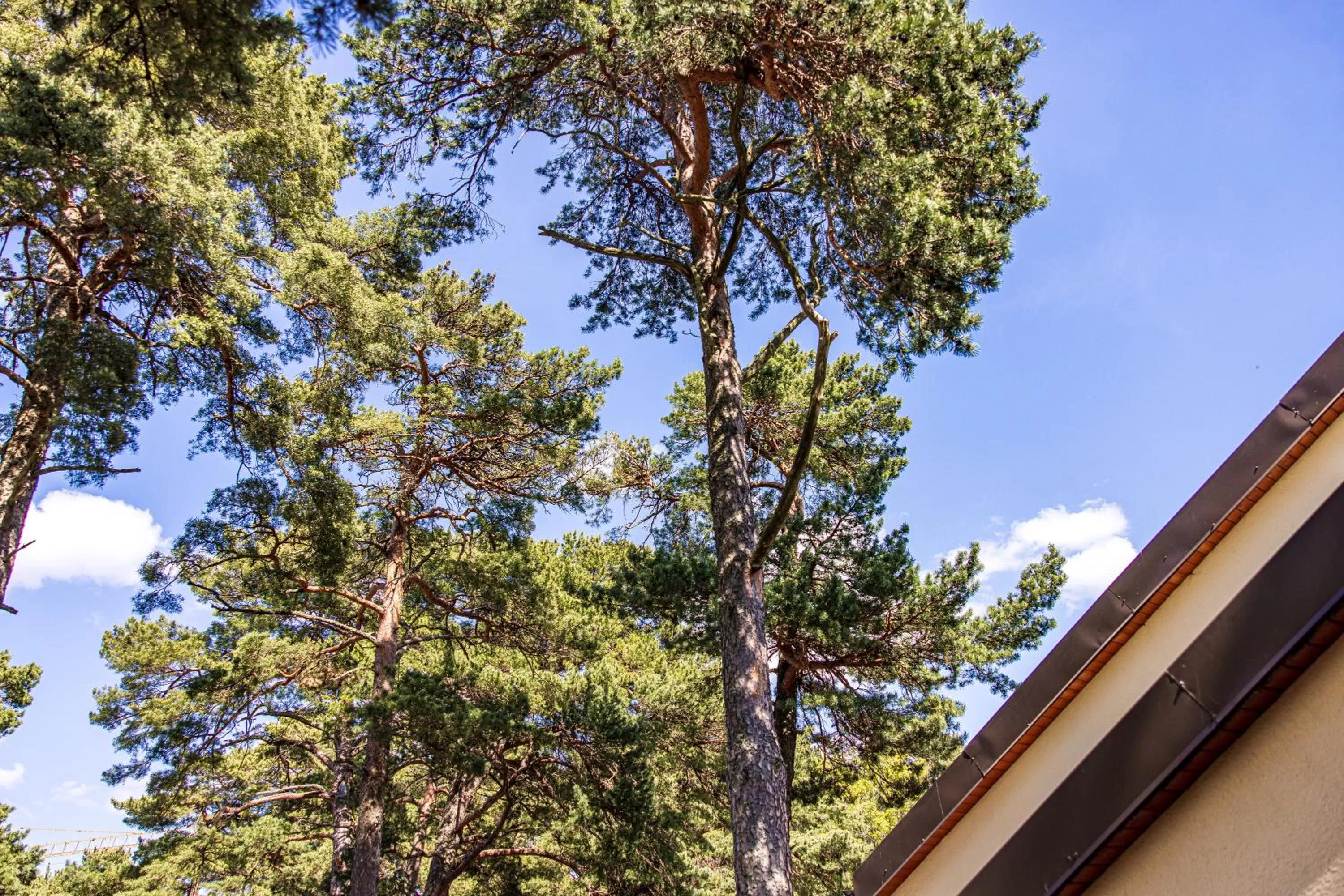 Balcony/Terrace in Palanga Park Hotel
