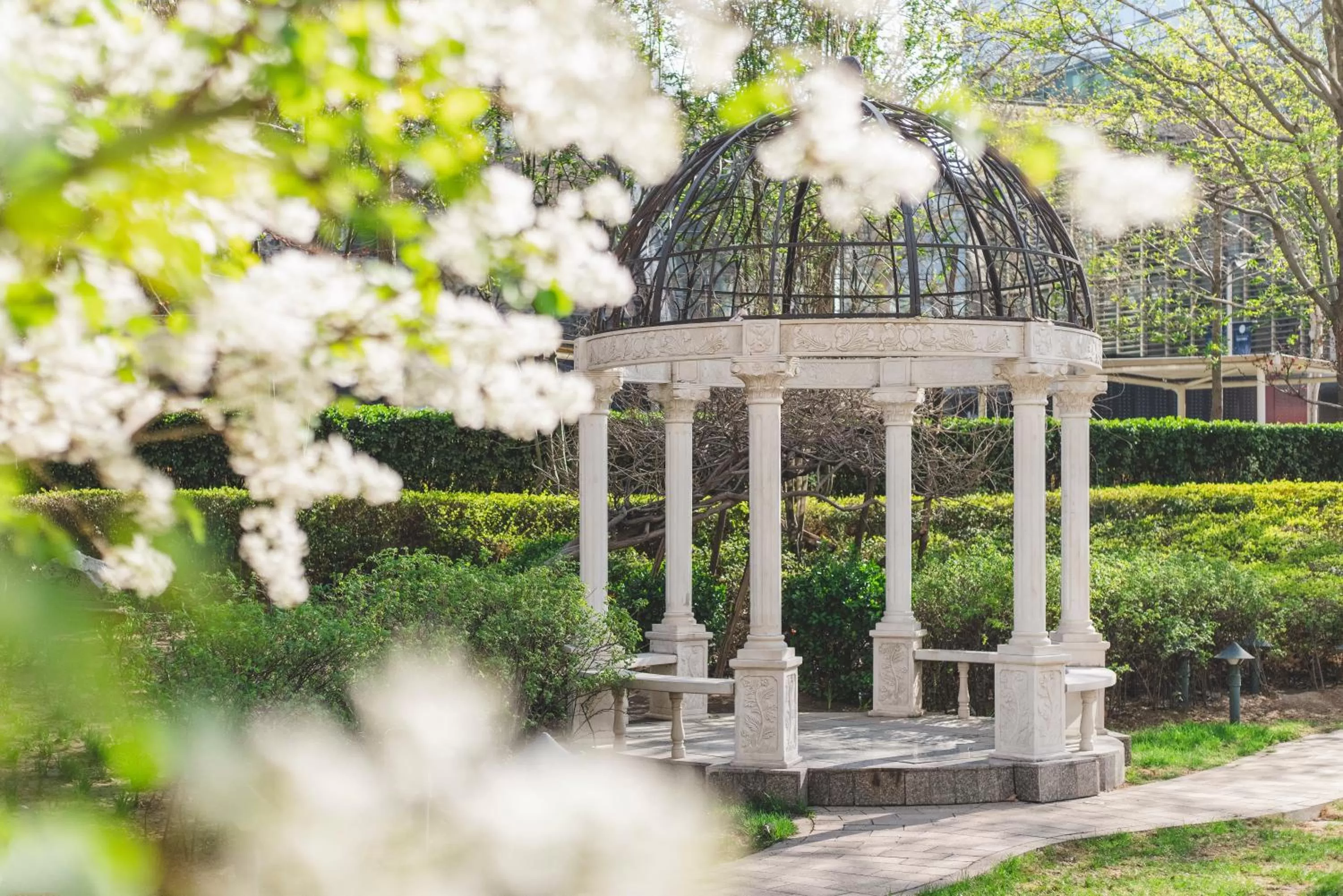 Garden view in The Ritz-Carlton Beijing