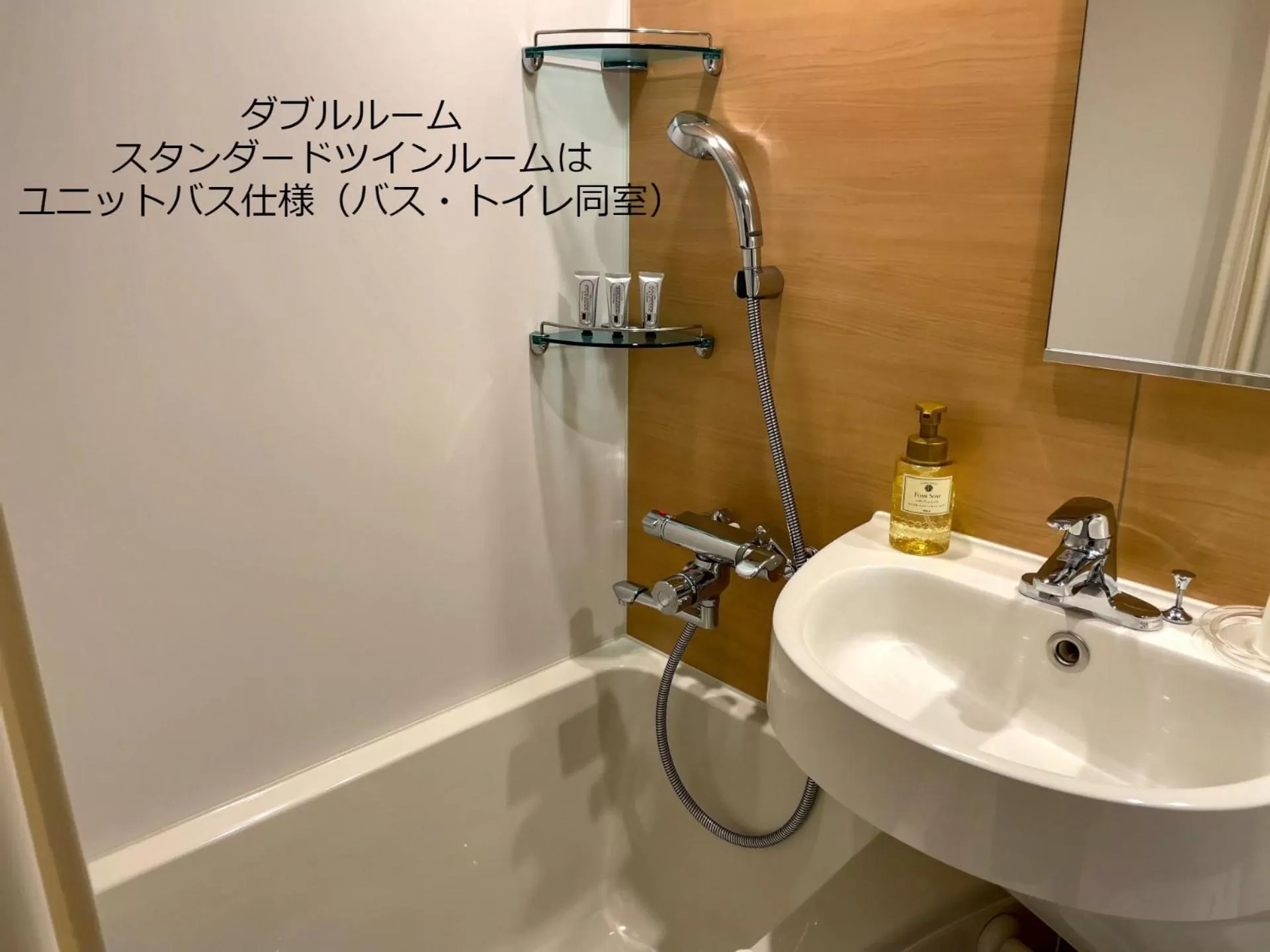 Toilet in Henn na Hotel Kanazawa Korimbo