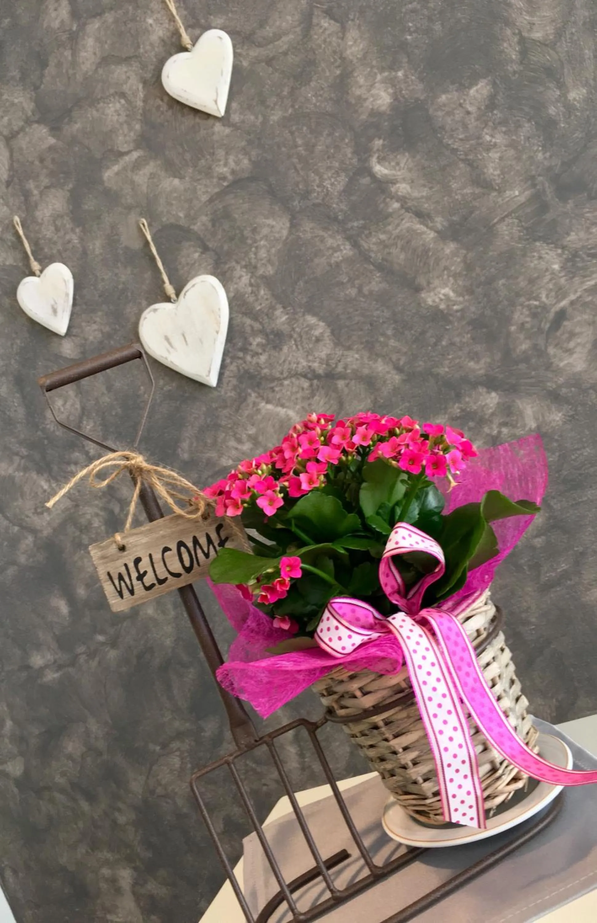 Lounge or bar in Albergo Villa Edera