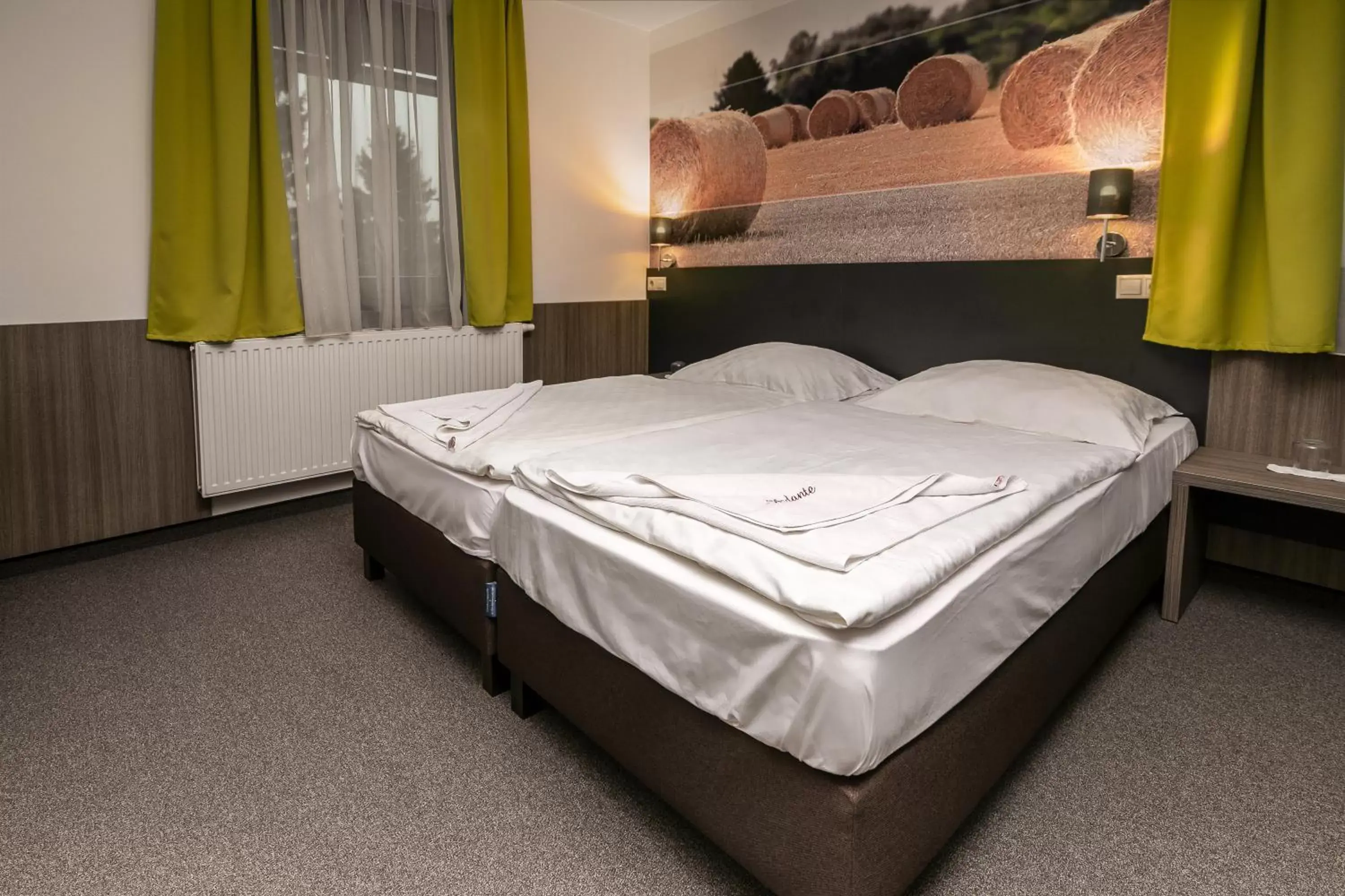 Twin Room in Andante Pension & Restaurant Twin Room in Andante Pension & Restaurant