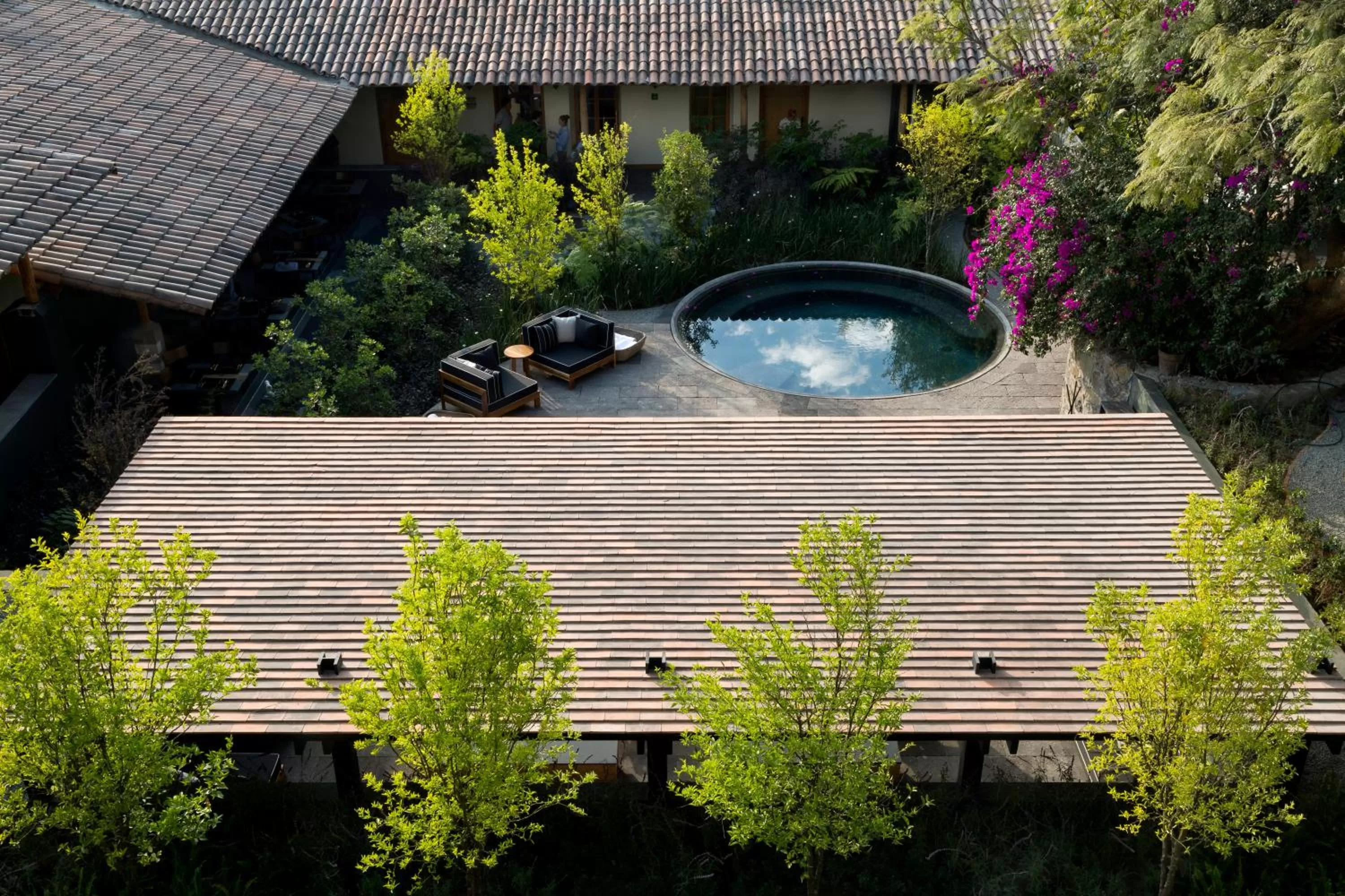 Garden view in La Casa Rodavento