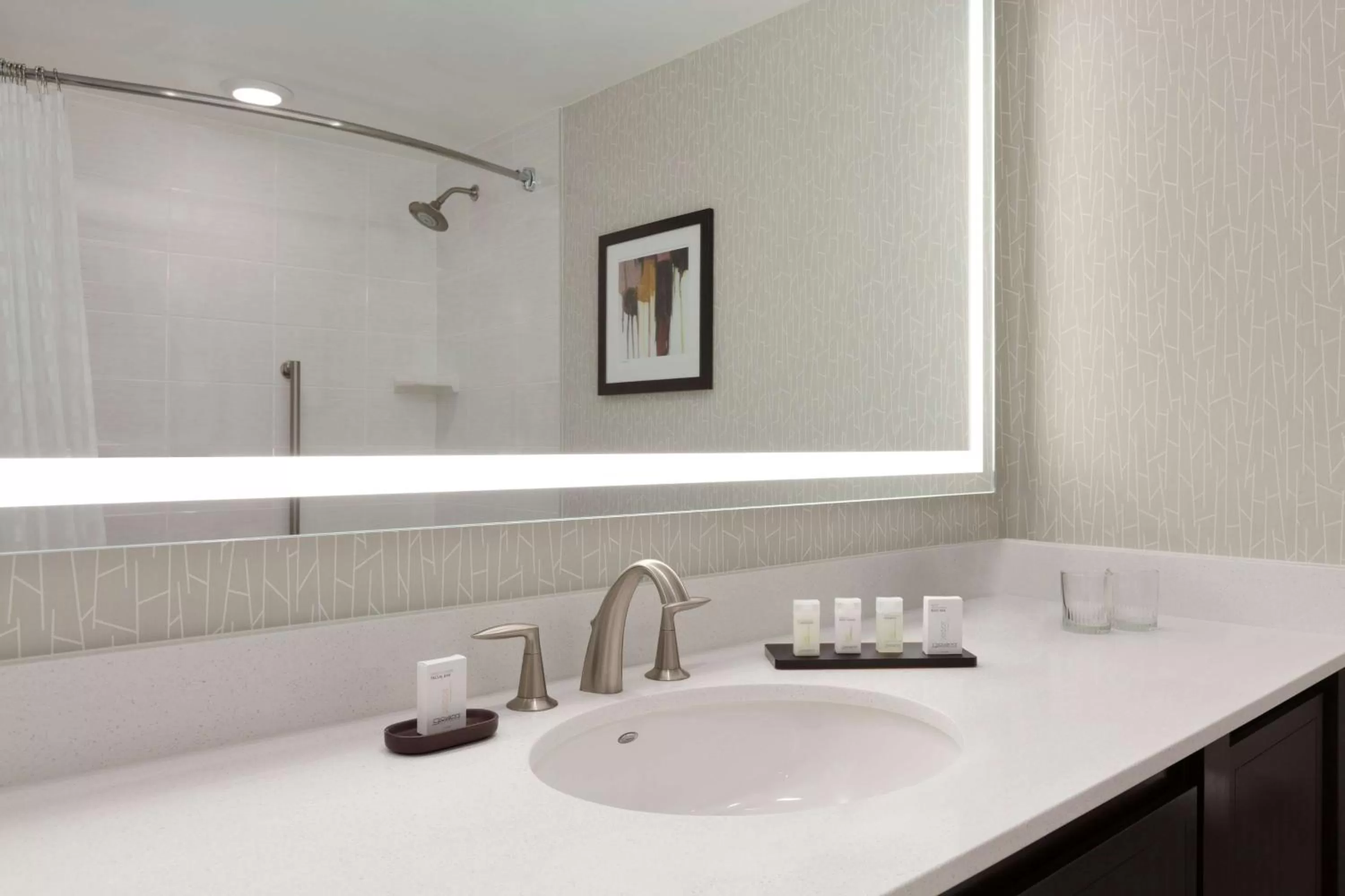 Bathroom in Embassy Suites by Hilton Irvine Orange County Airport