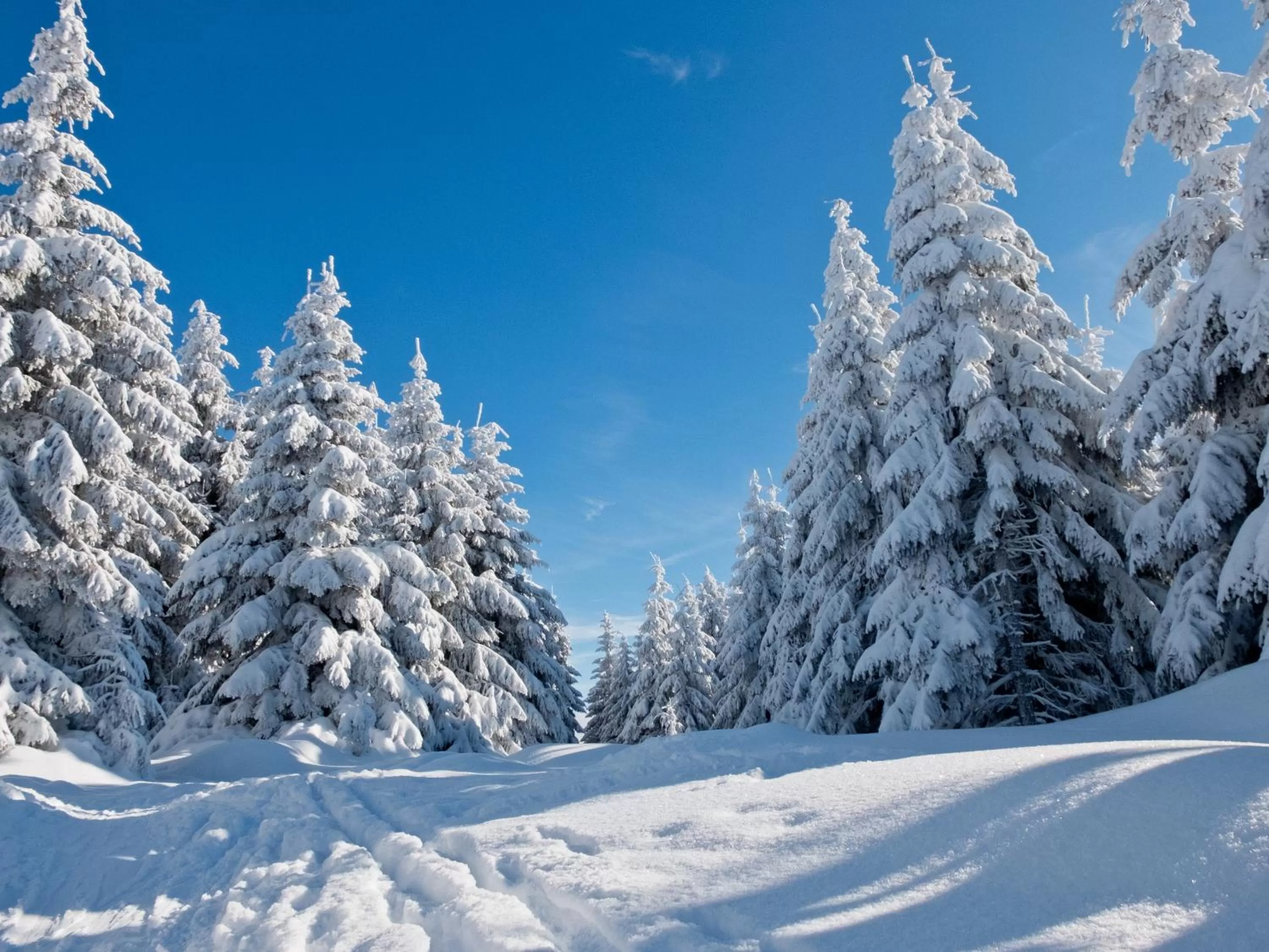Natural landscape in Hotel Bon