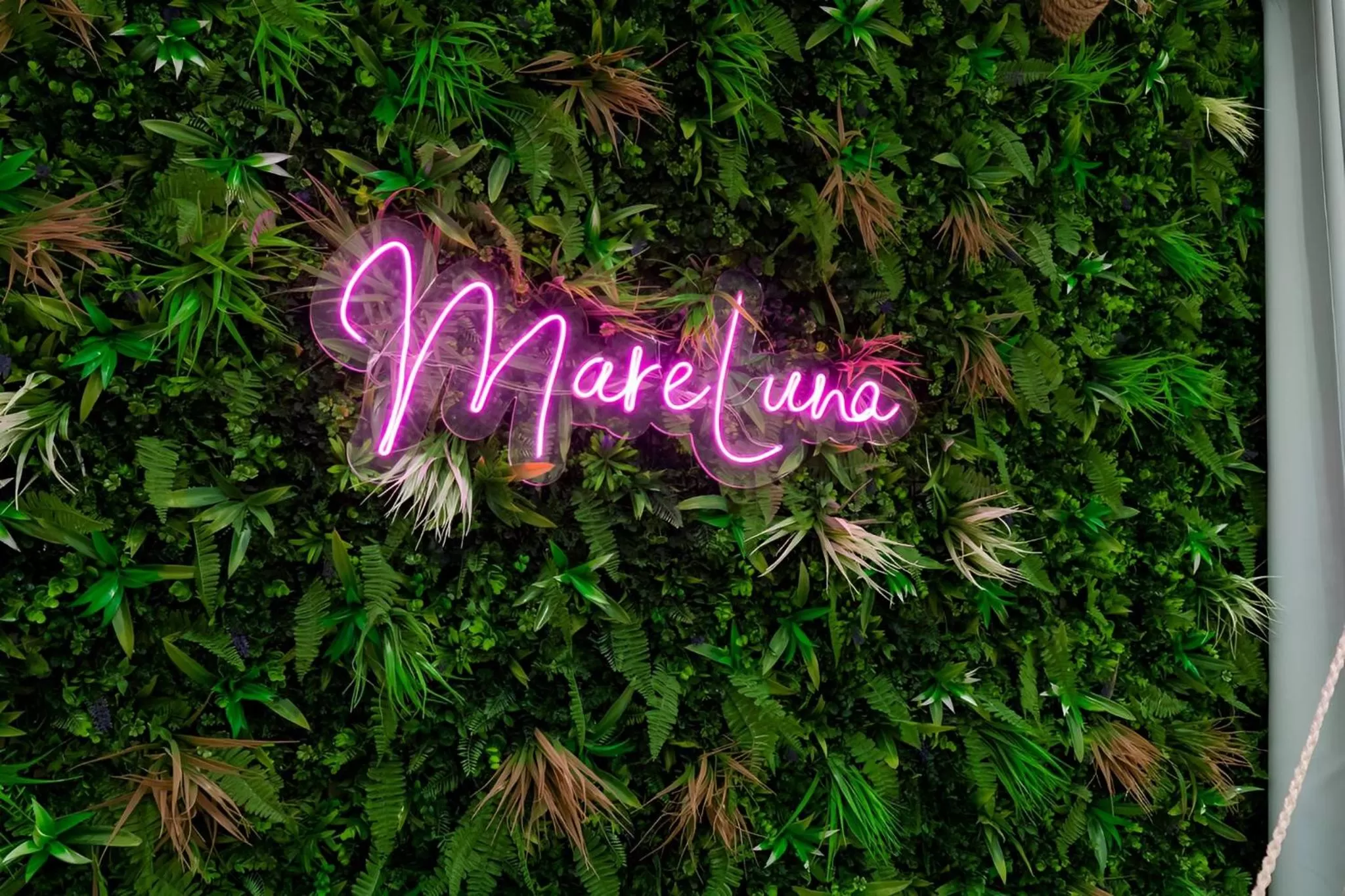 Bedroom in MareLuna Rooms