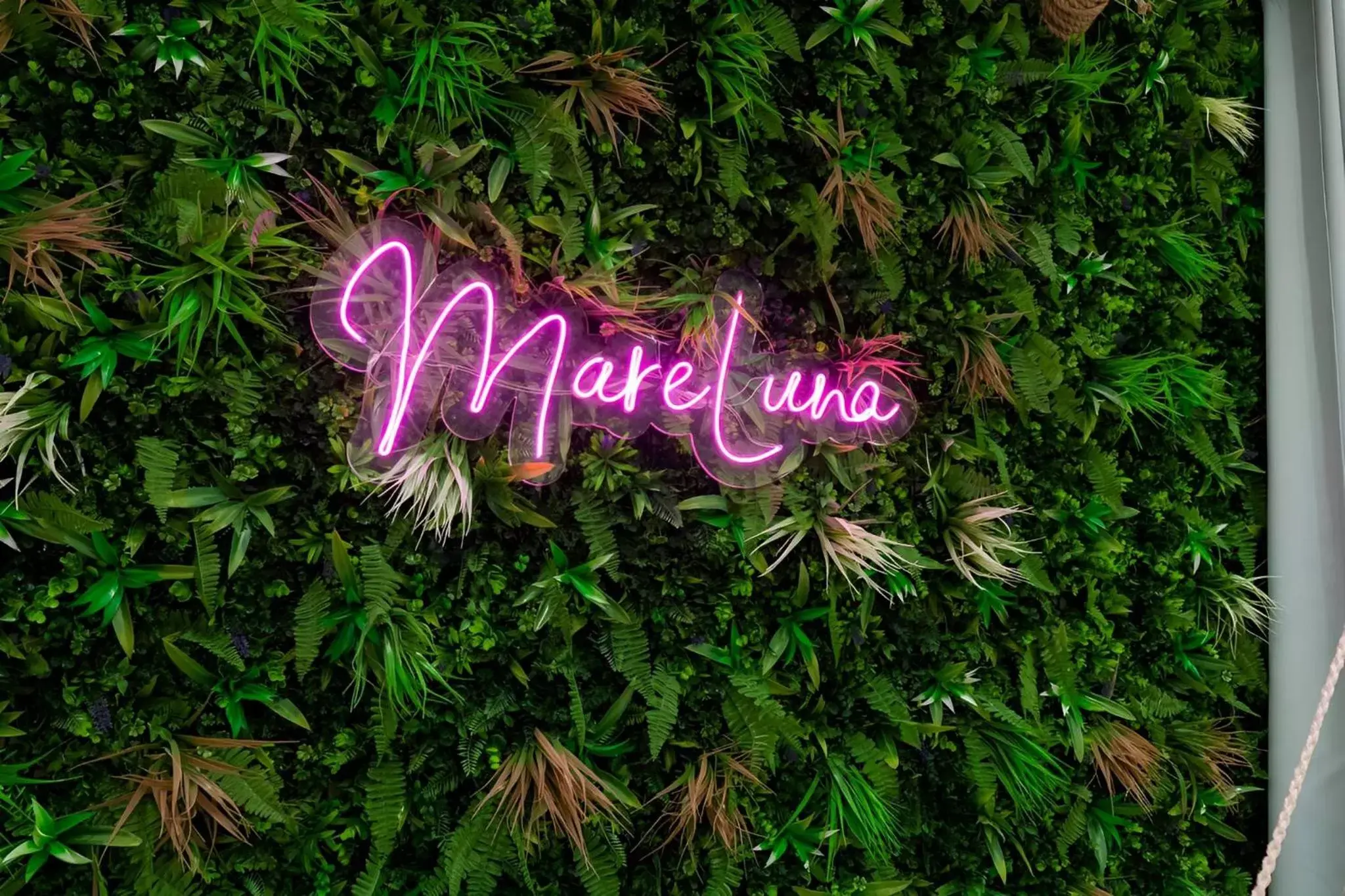 Superior Double Room in MareLuna Rooms Superior Double Room in MareLuna Rooms