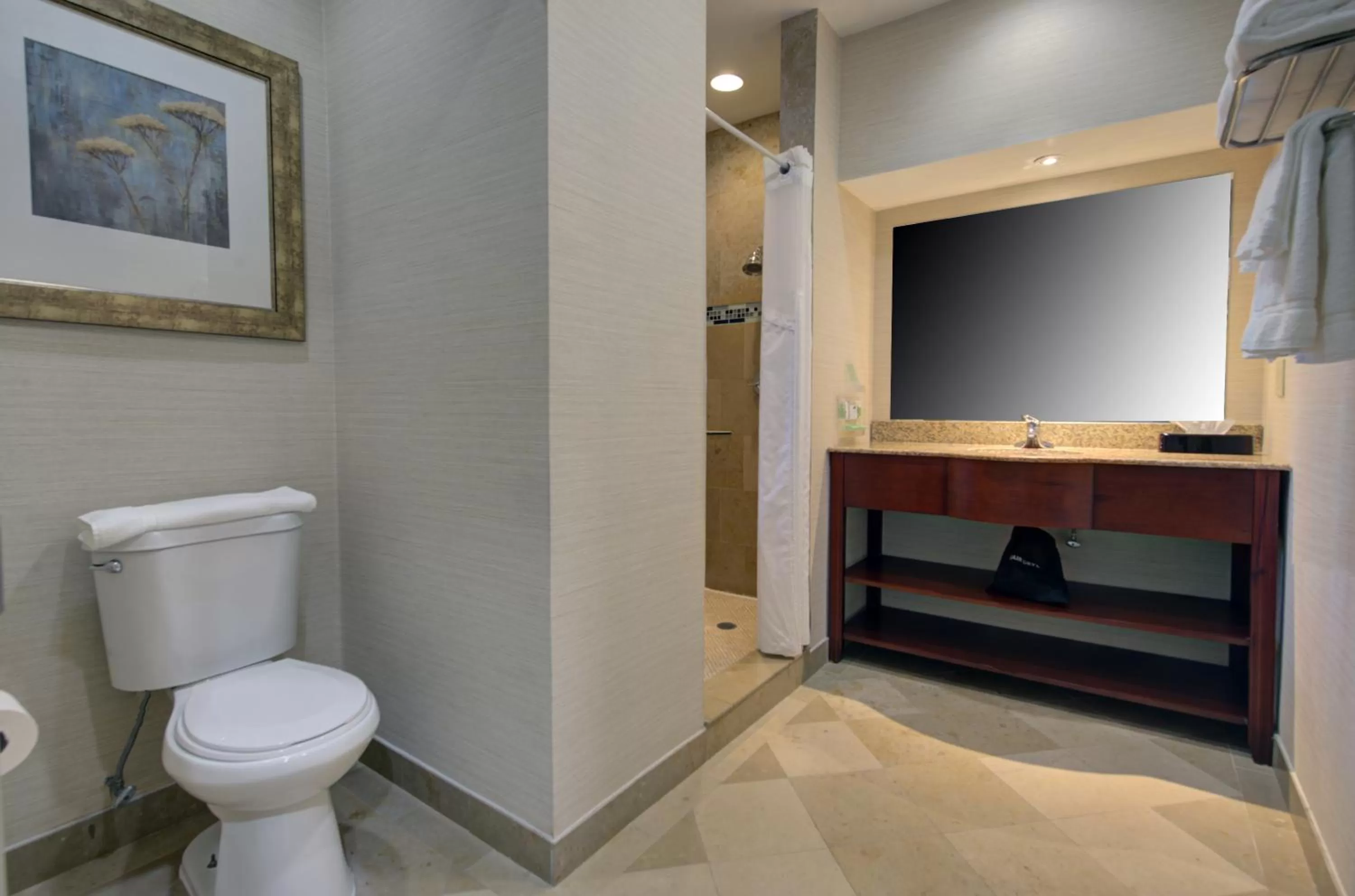 Bathroom in Holiday Inn Plainview-Long Island by IHG
