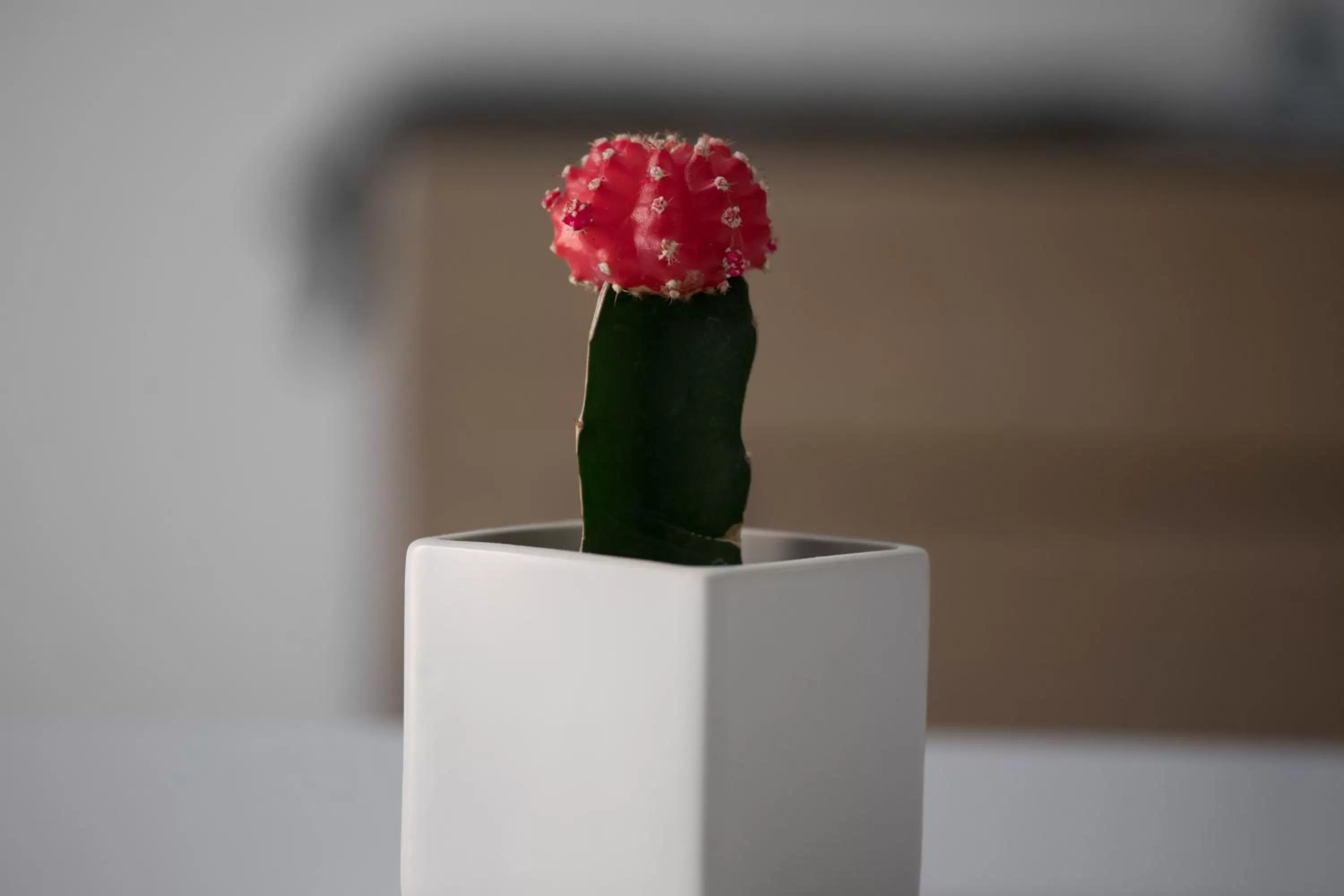 Communal lounge/ TV room in Le Quattro Stagioni - Rooms & Suites