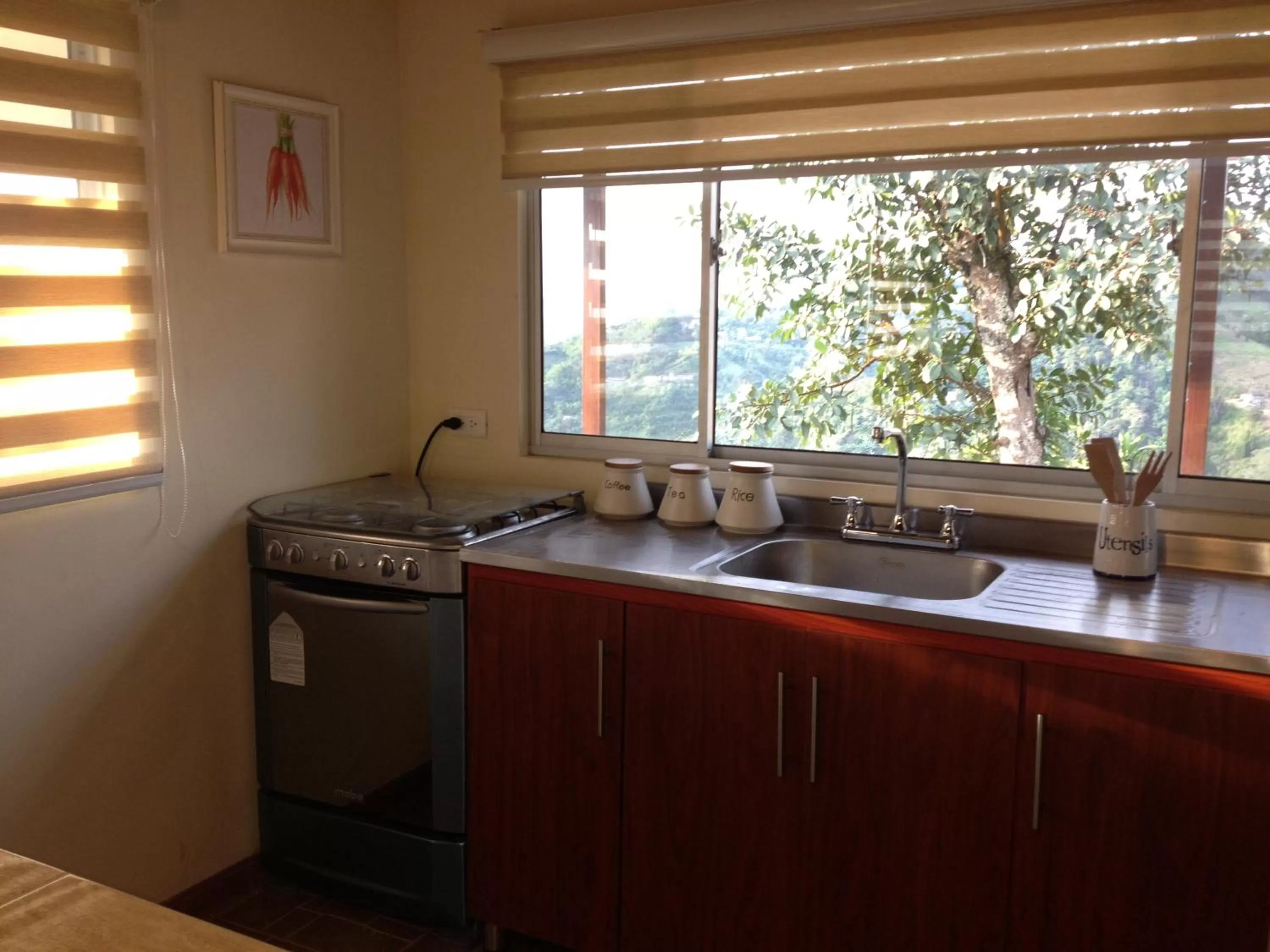 Day, Kitchen/Kitchenette in Mirador Finca Morrogacho