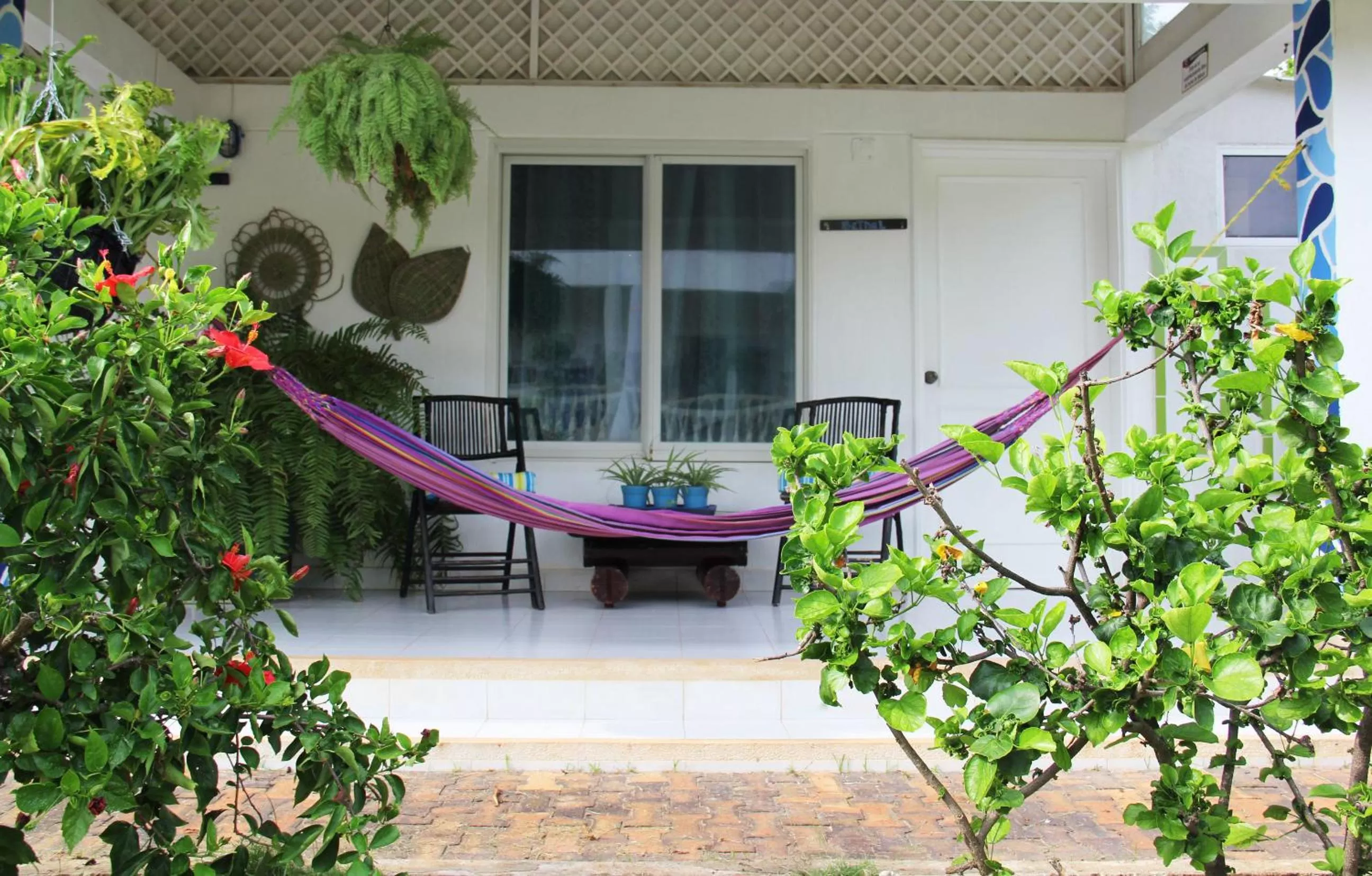 Balcony/Terrace in Hosteria Mar y Sol