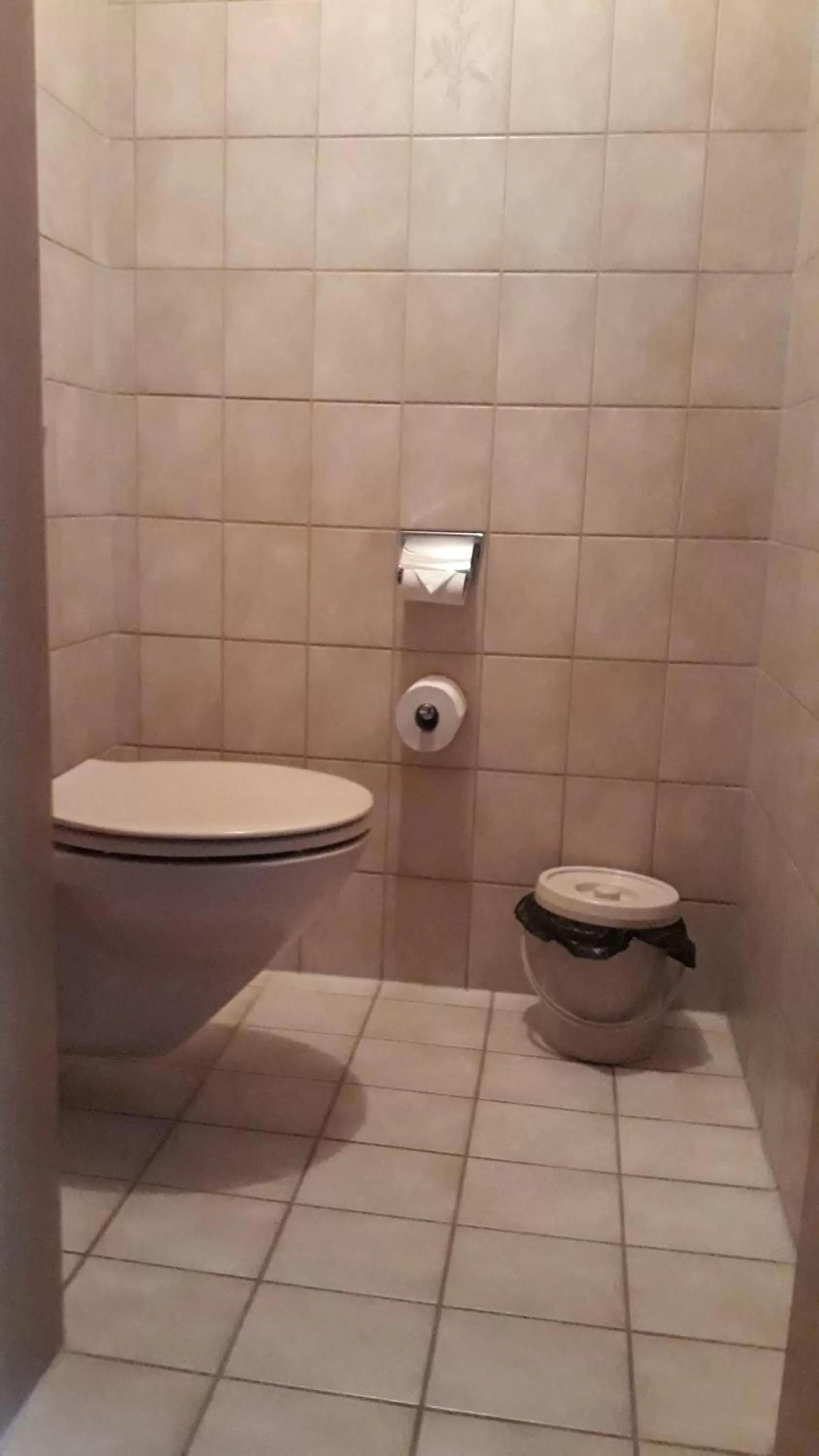 Toilet, Bathroom in Hotel Eleon