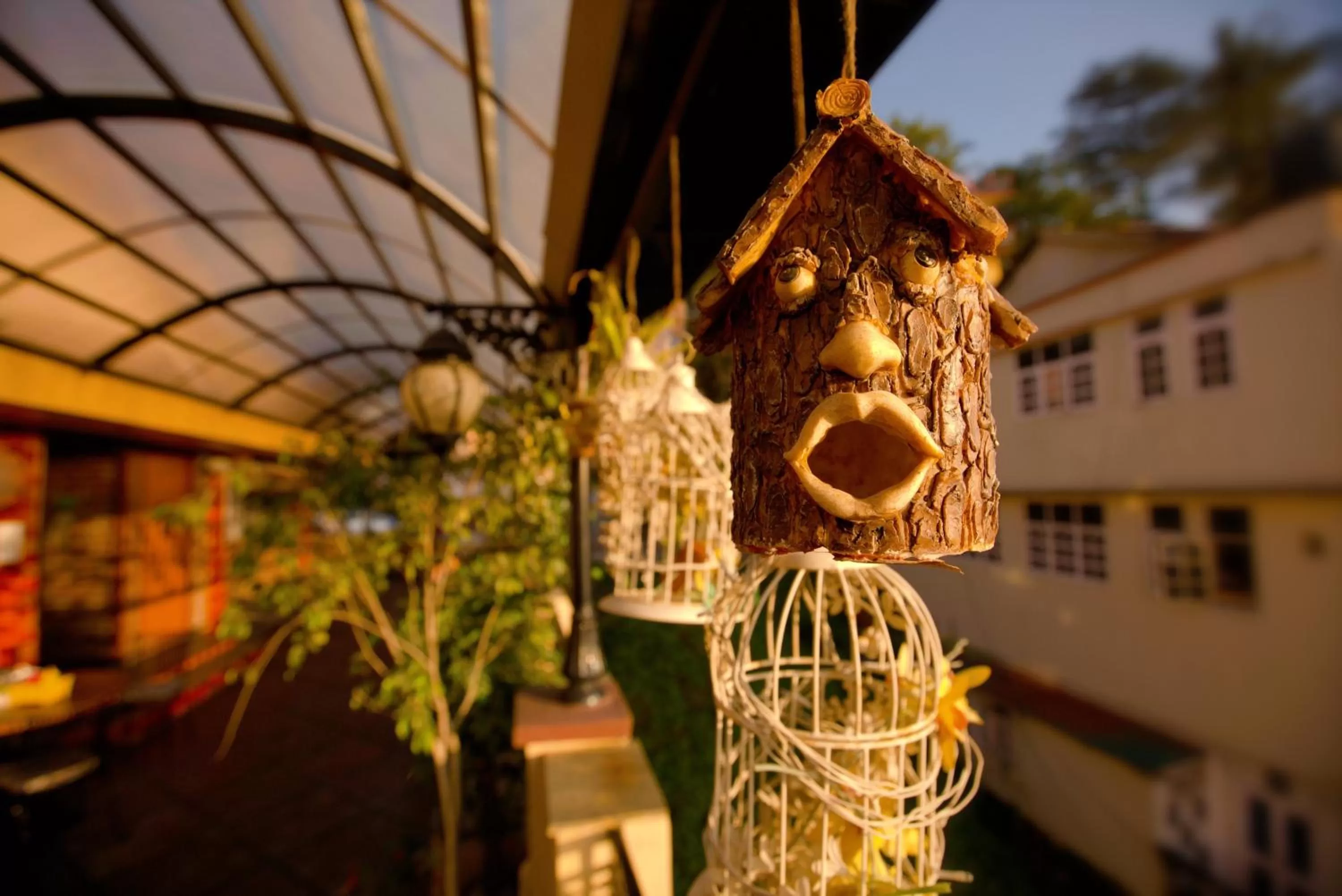 Restaurant/places to eat in Hotel Willow Banks Shimla