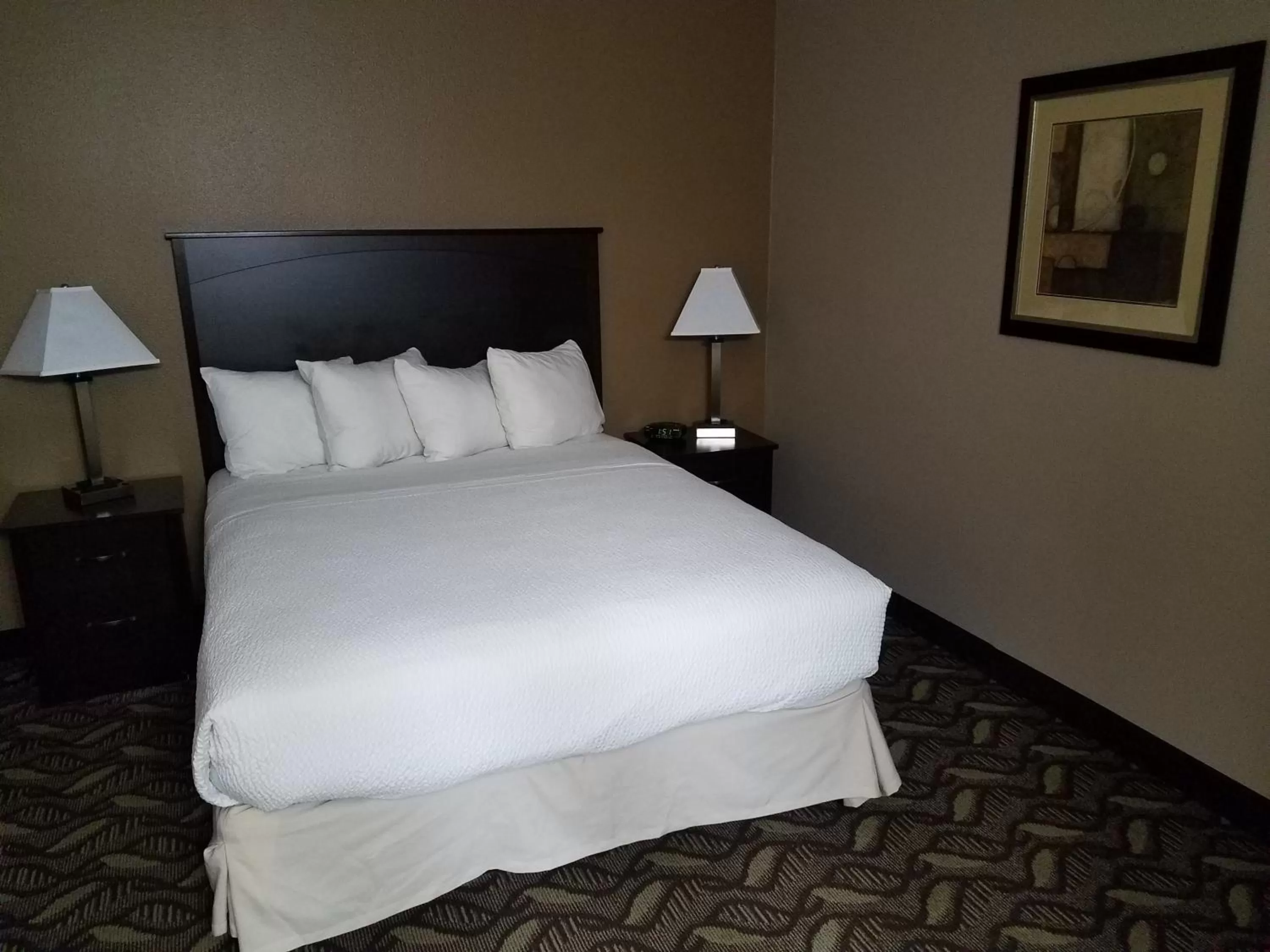 Bed in Americas Best Value Inn and Suites Bismarck