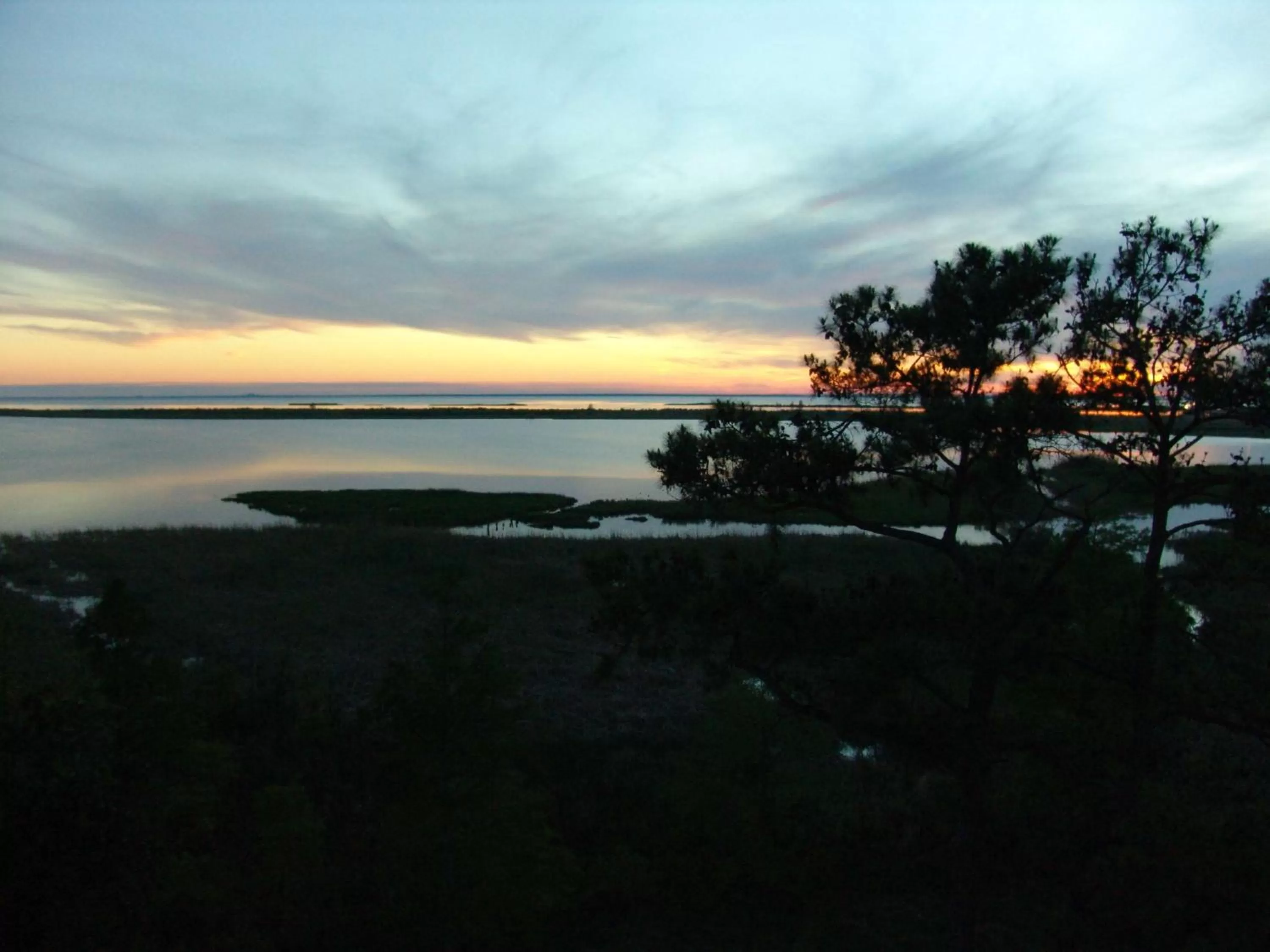 Lobby or reception in Hampton Inn Mobile/East Bay