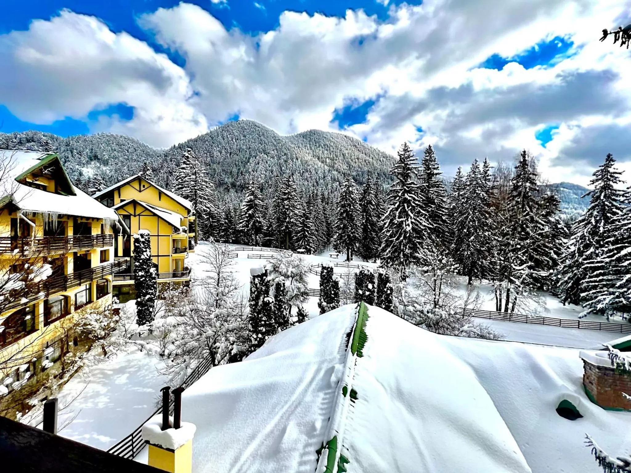 Property building in Hotel Casa Viorel jacuzzi & saunas