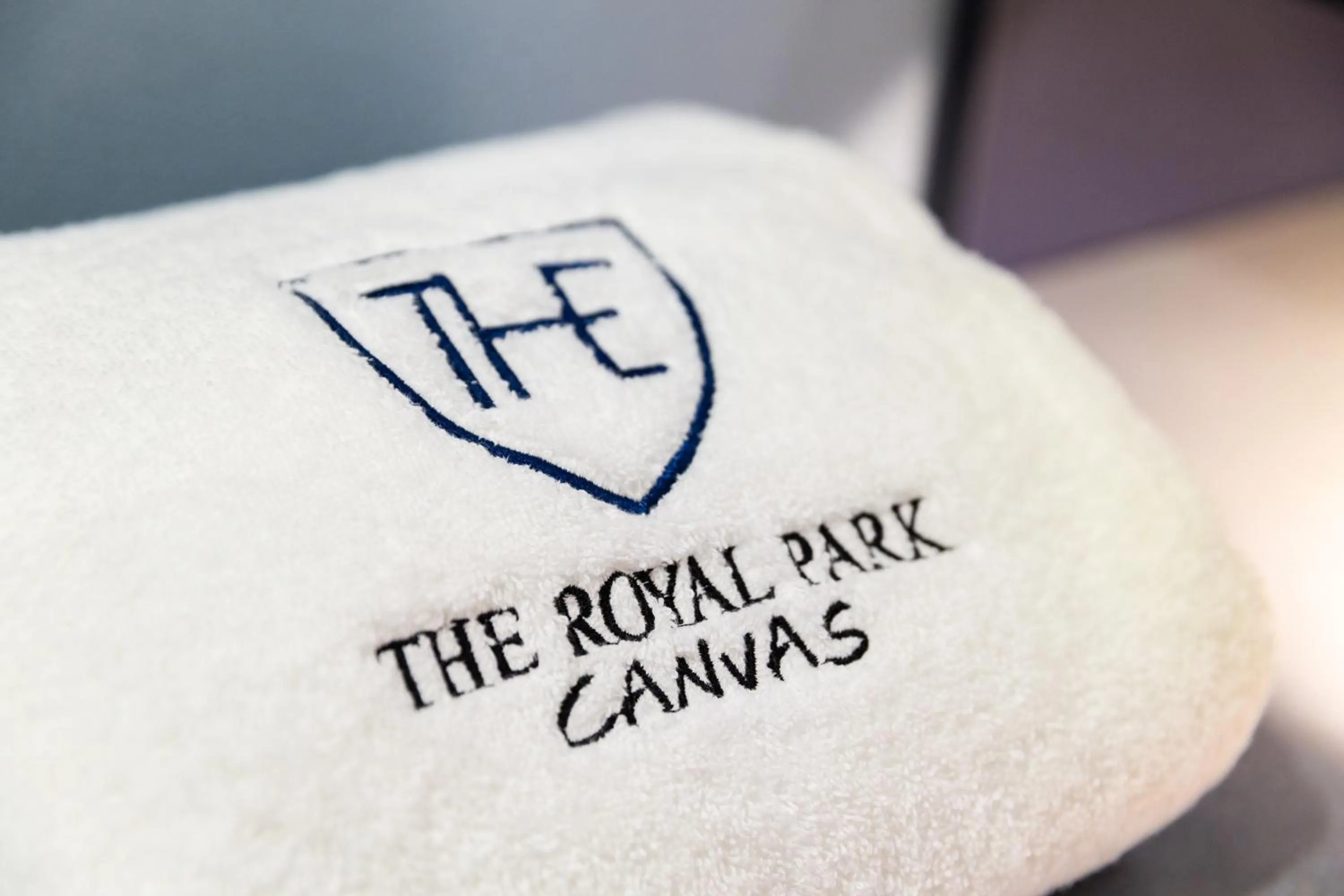 The Royal Park Canvas - Ginza 8