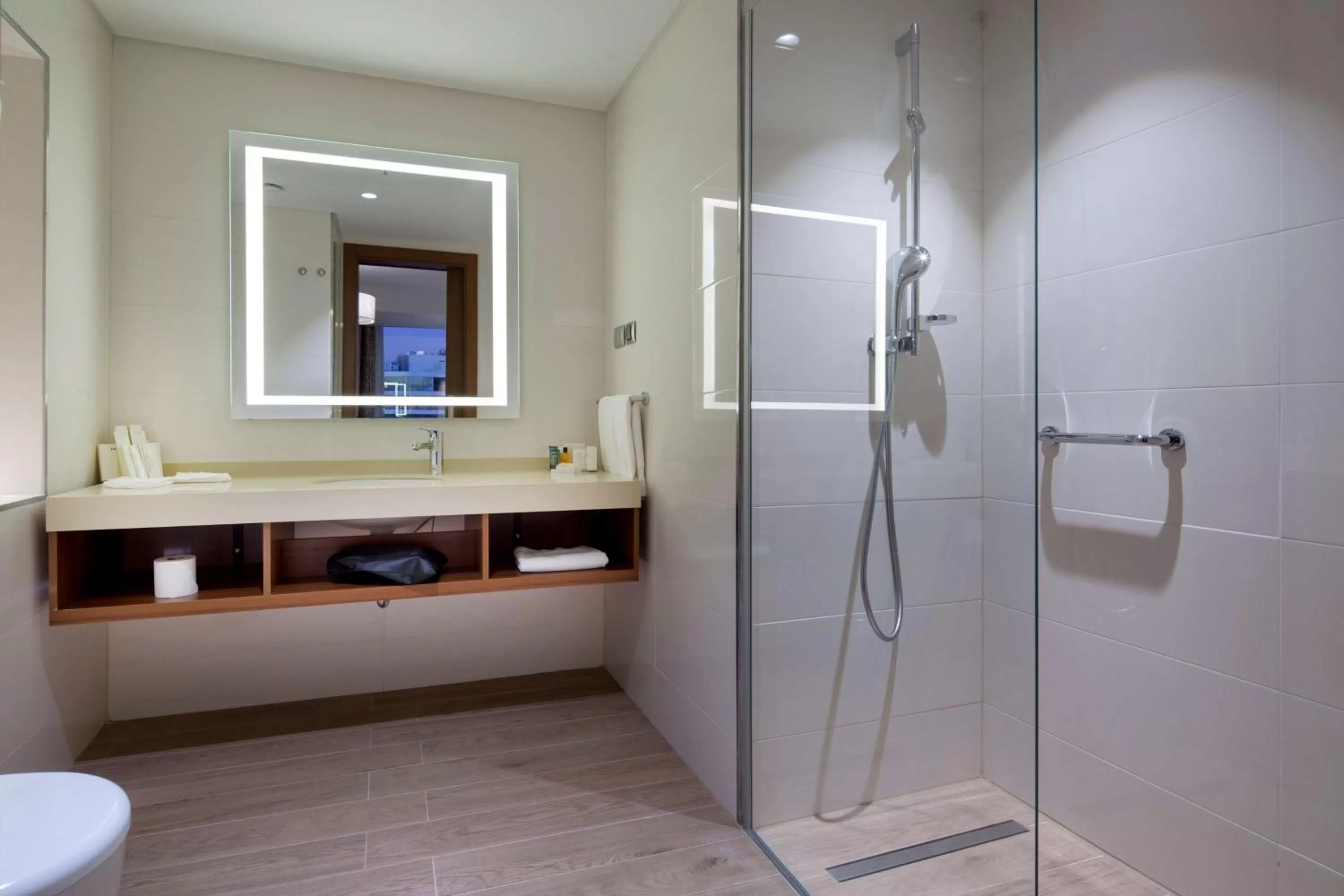 Bathroom in Hilton Garden Inn Istanbul Beylikduzu