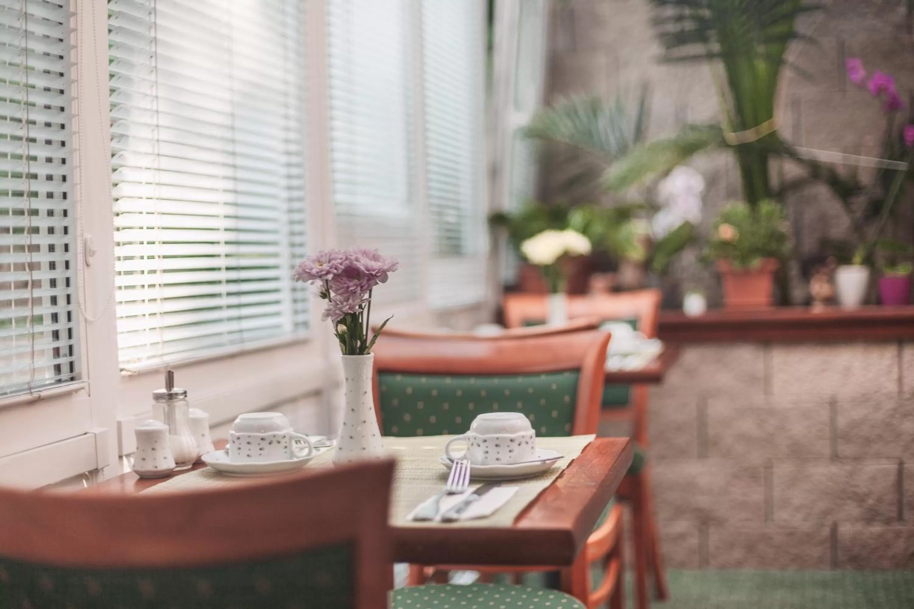 Dining area in Hotel Peko