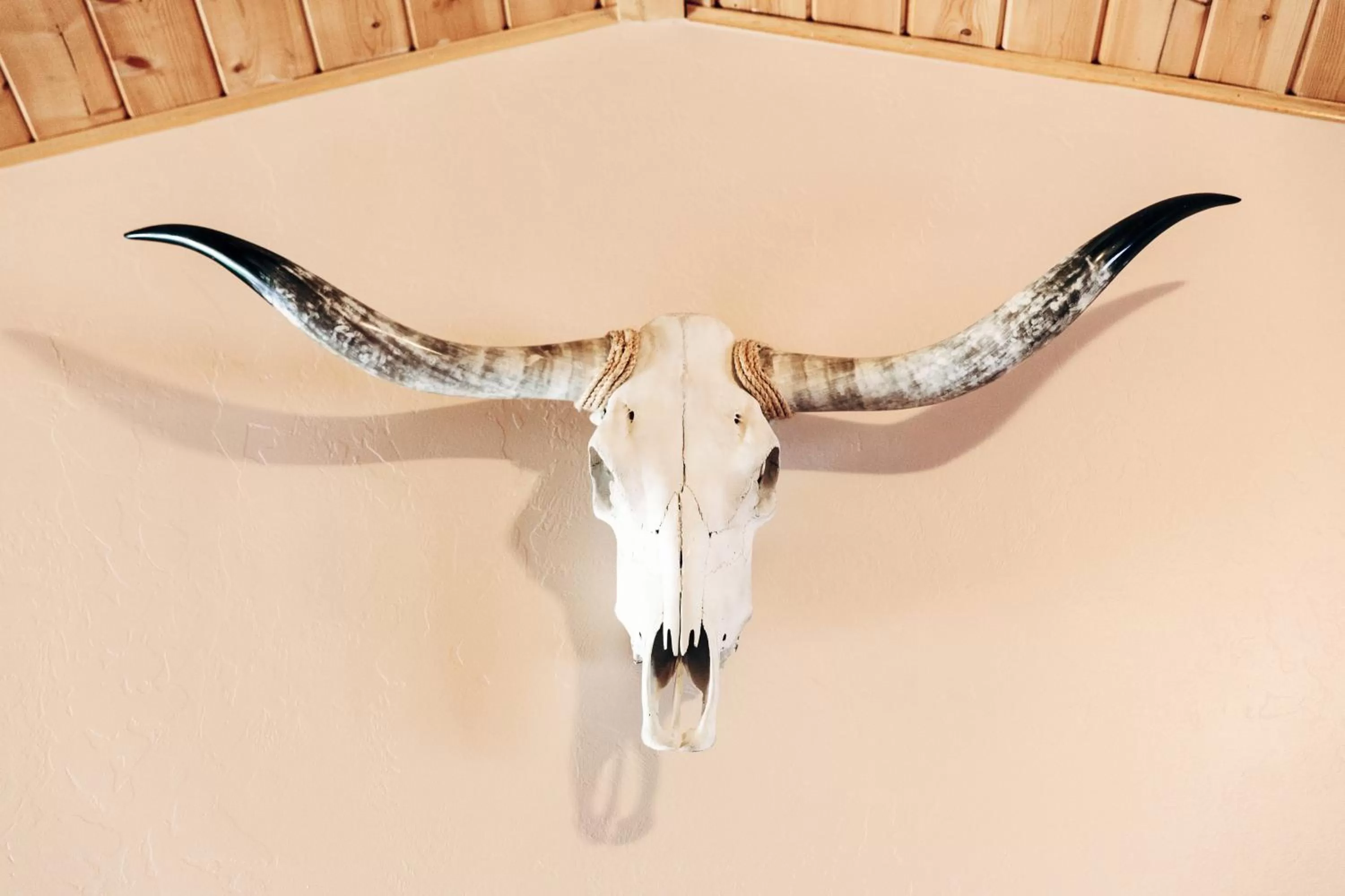 Decorative detail in The Longhorn Ranch Resort Lodge & RV Park