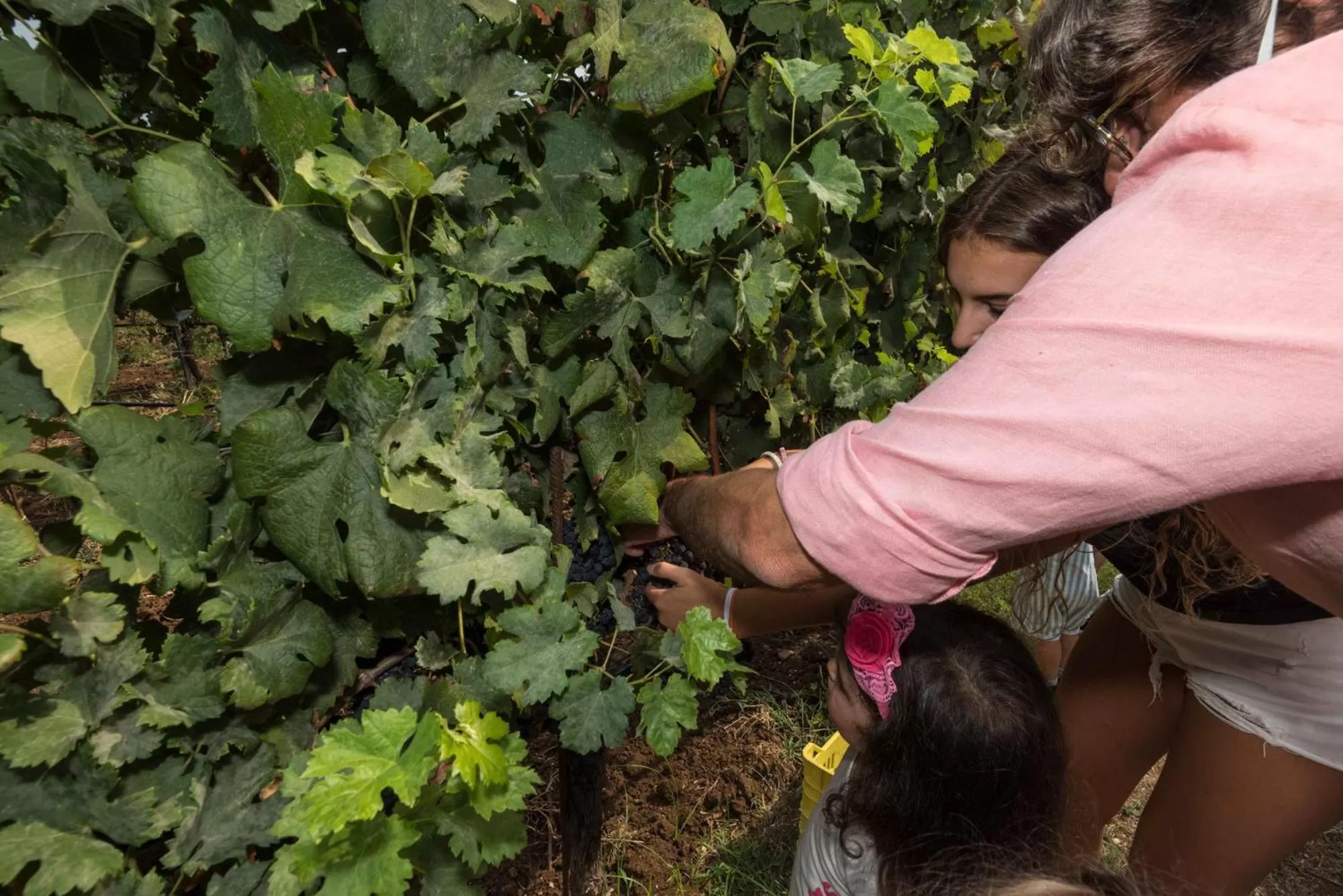Nearby landmark in Antico Borgo Molino 7cento vicino ai Giardini di Ninfa