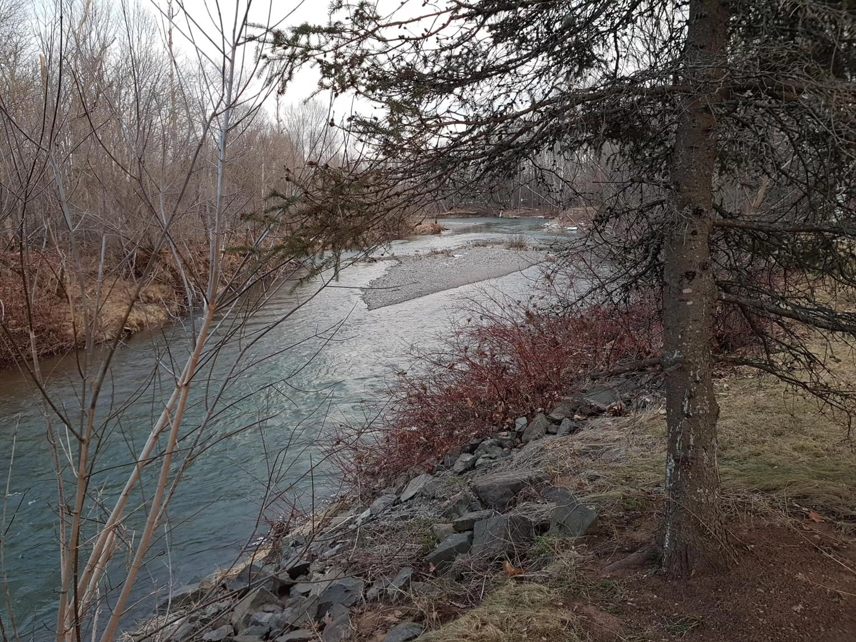 Covered Bridge Inn & Suites