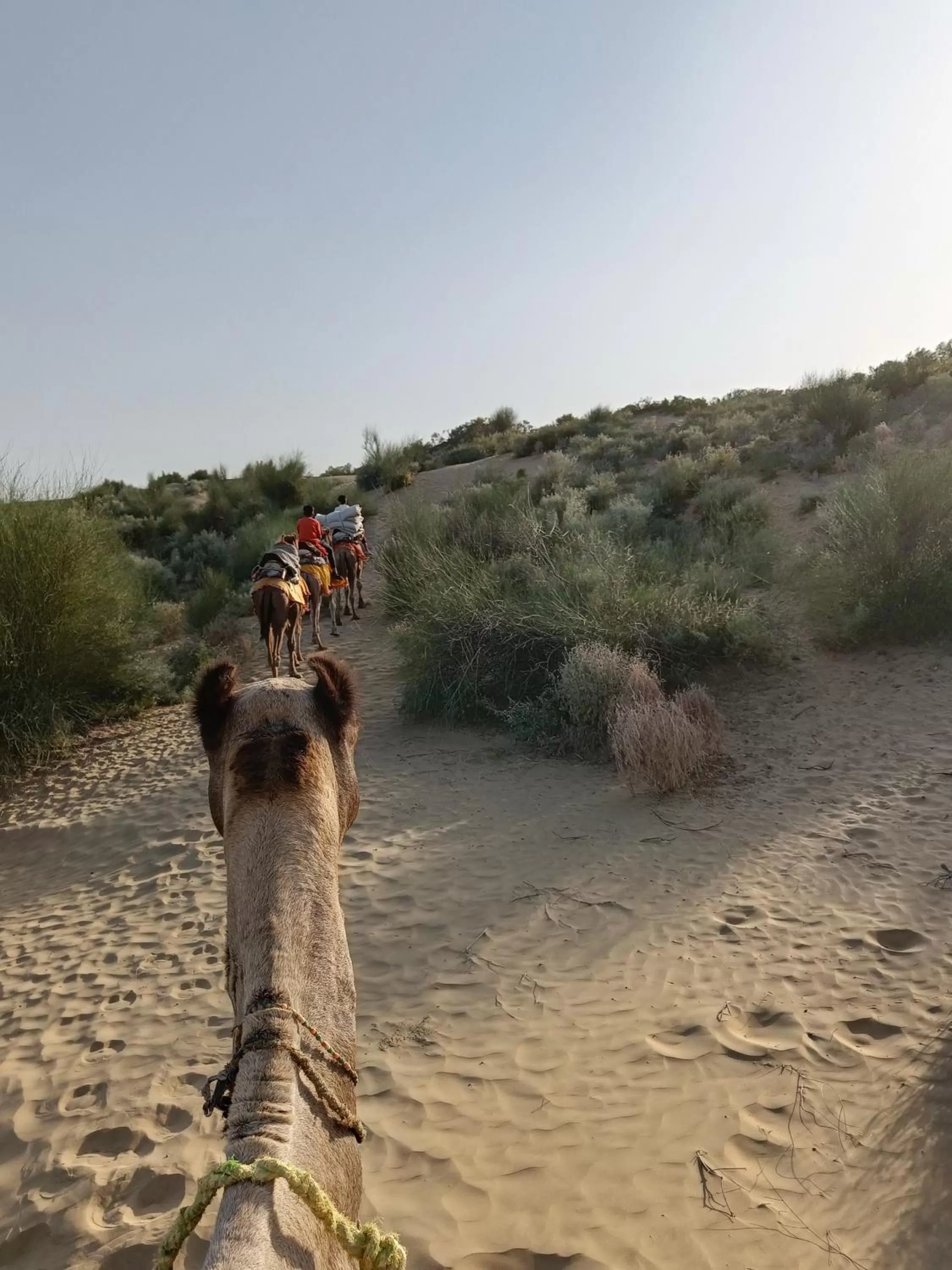 Activities in The Secret House - Adults Only