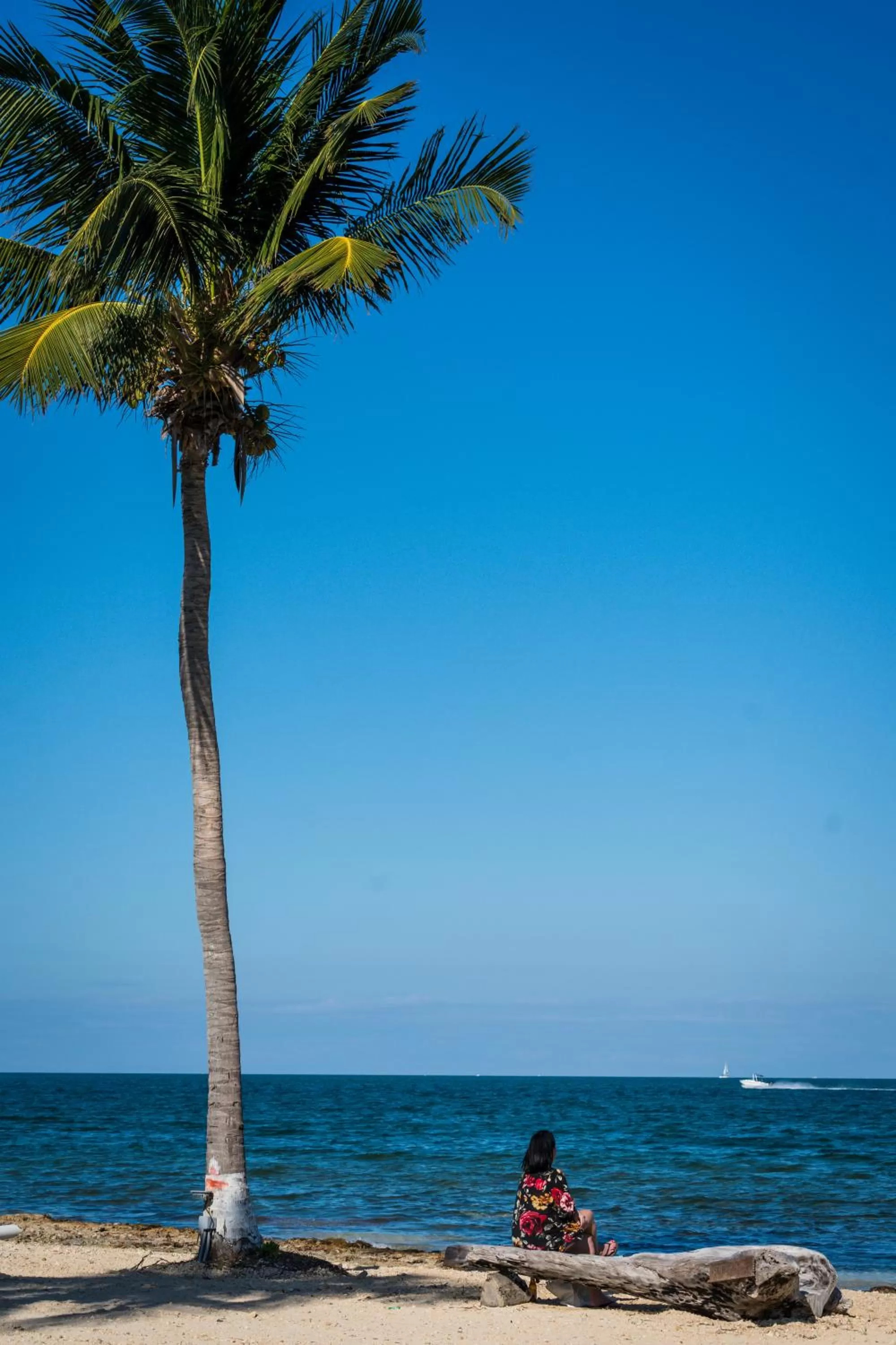 Day in The Grand Caymanian Resort