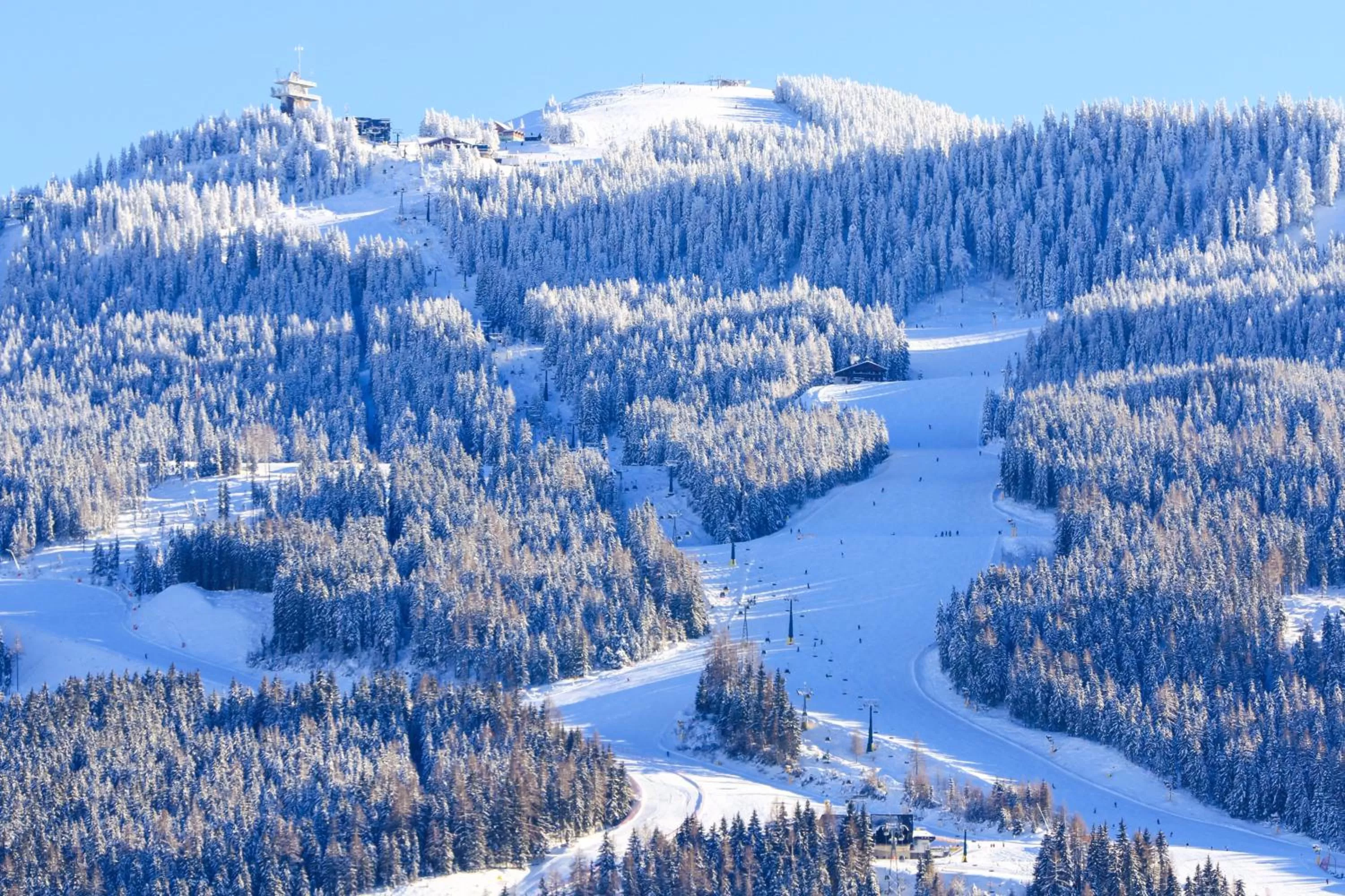 Skiing in Naturhotel Lärchenhof
