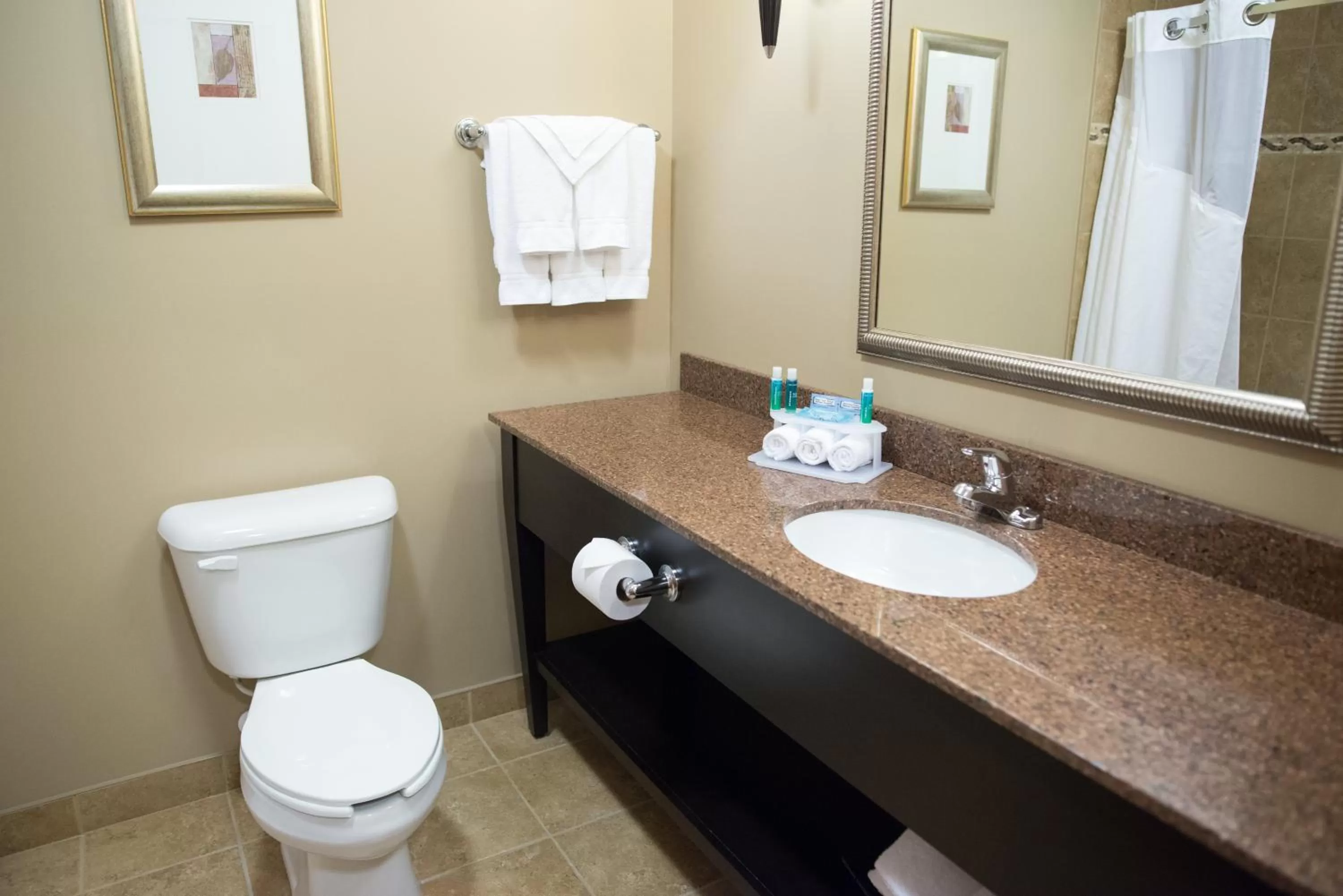 Bathroom in Holiday Inn Express & Suites Northwood by IHG