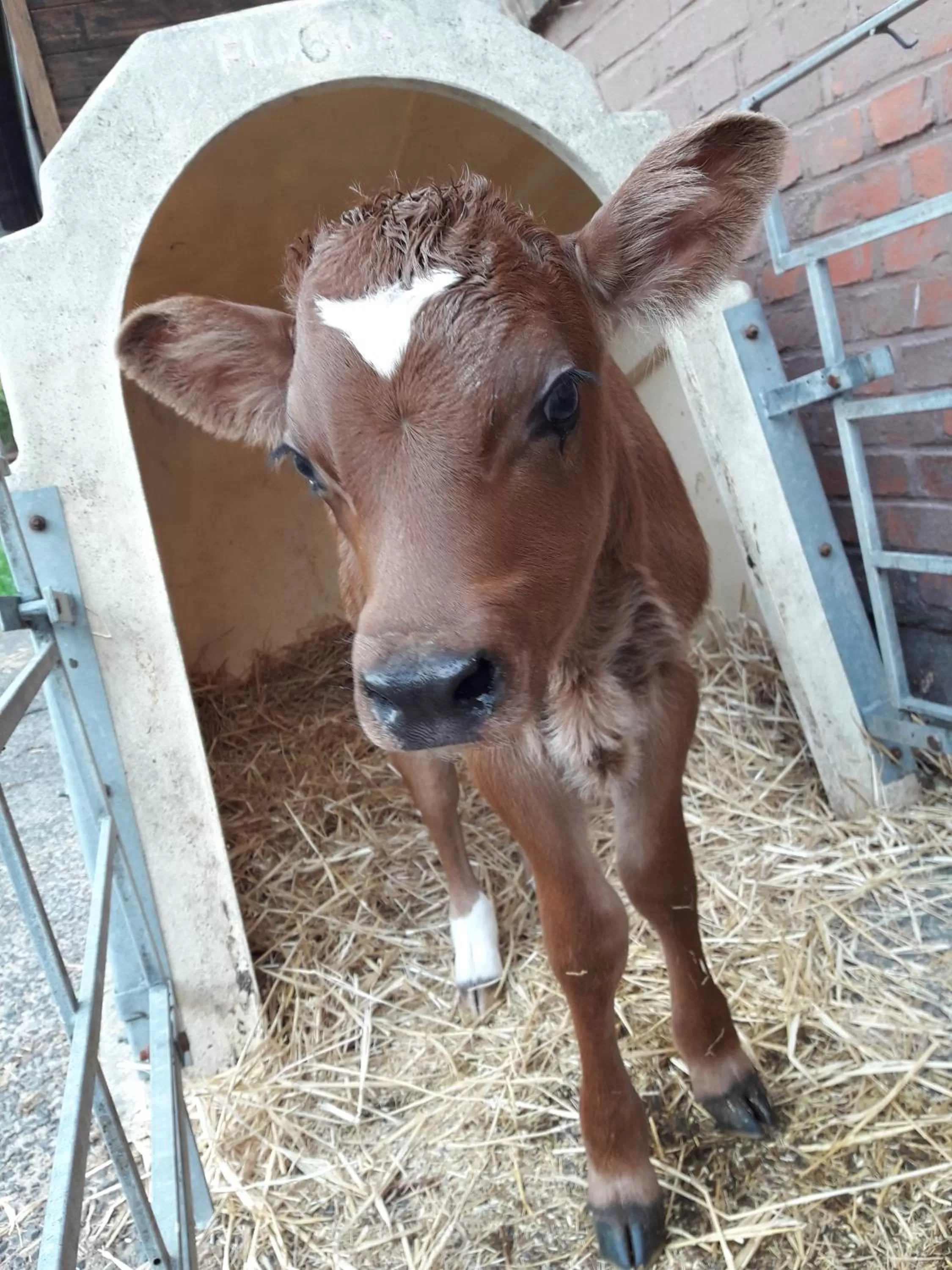 kleinHOTEL Steinau-Rabenstein GbR