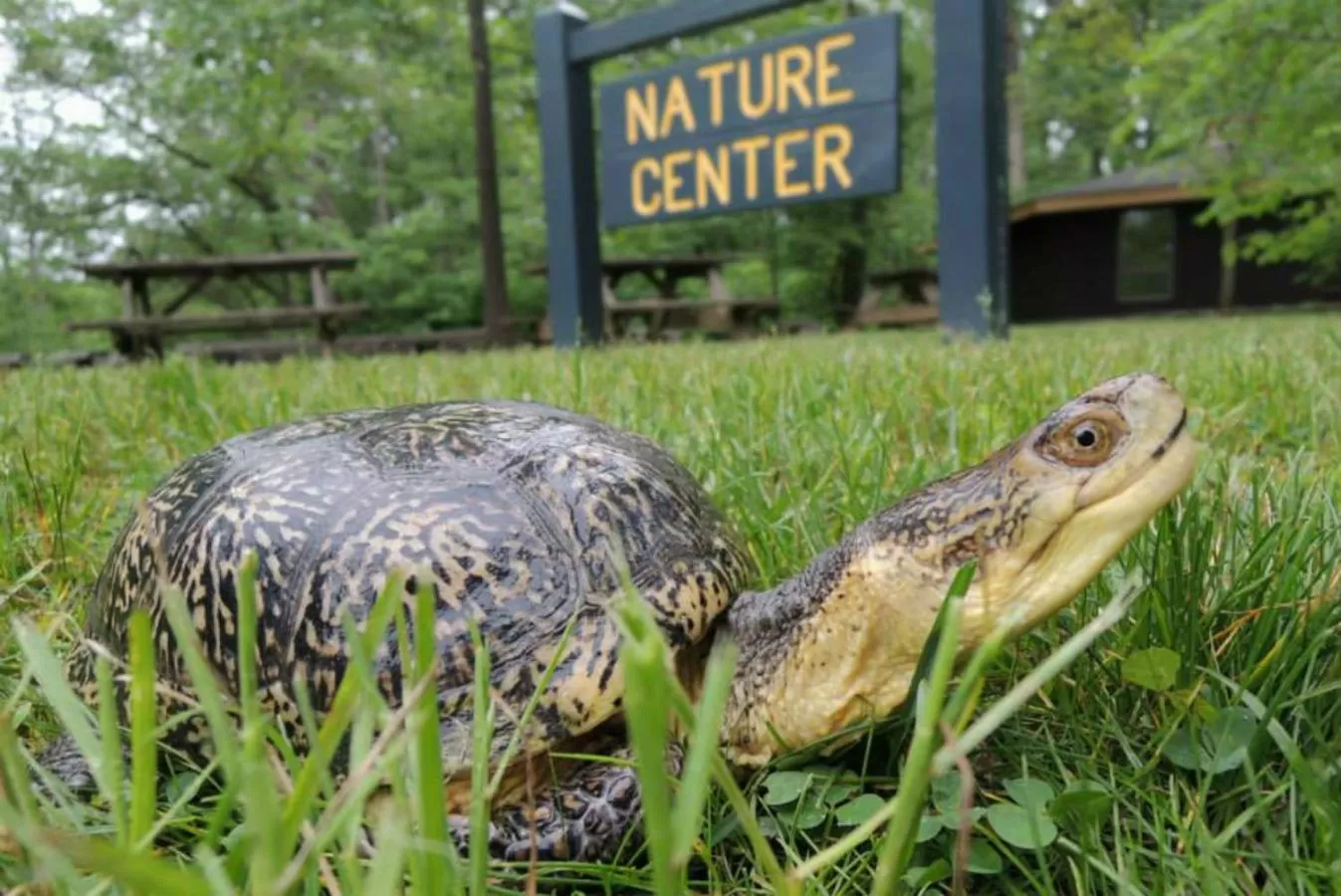 Activities in Potawatomi Inn & Cabins