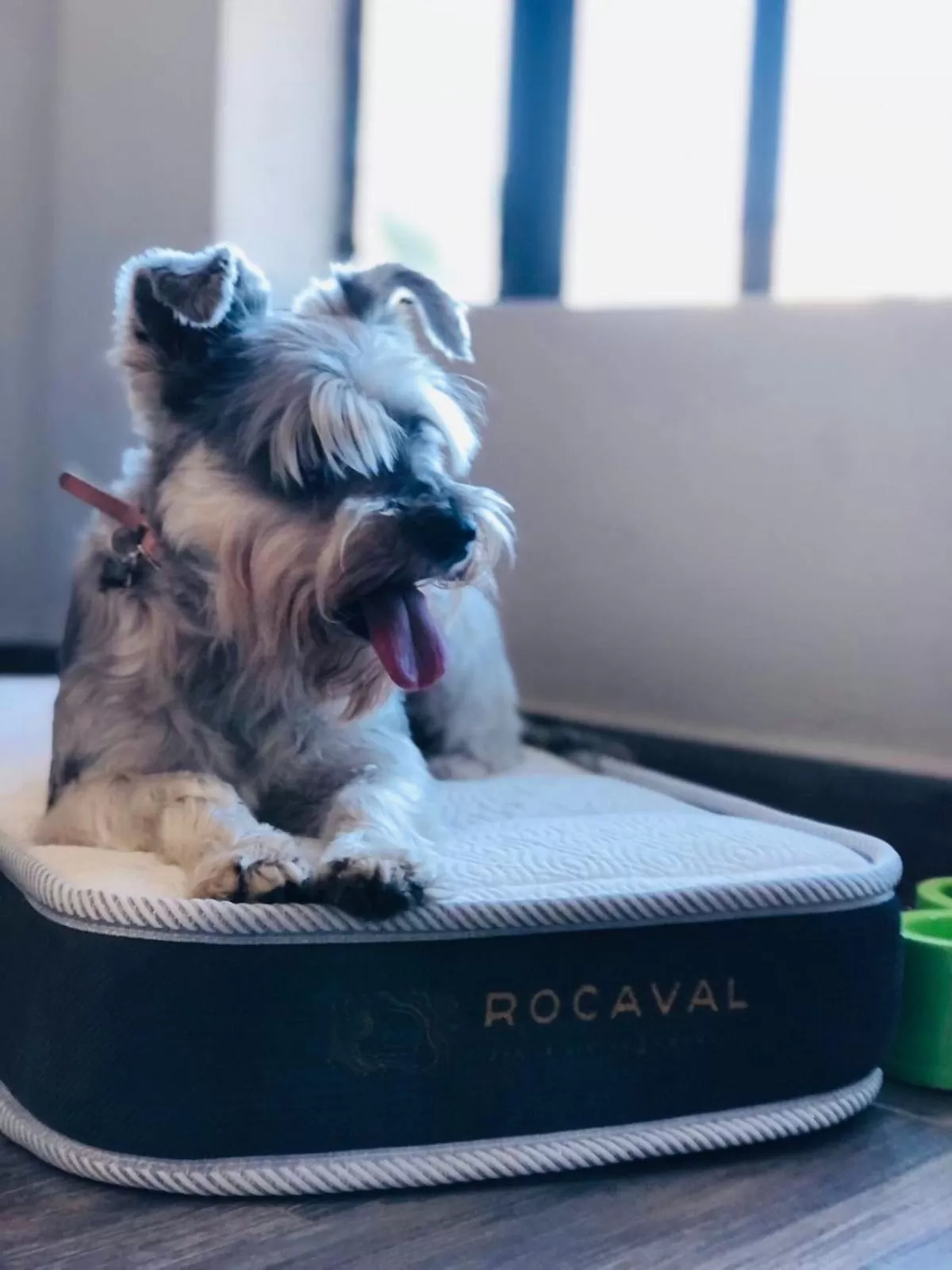 Coffee/tea facilities in Hotel Rocaval San Cristóbal de las Casas