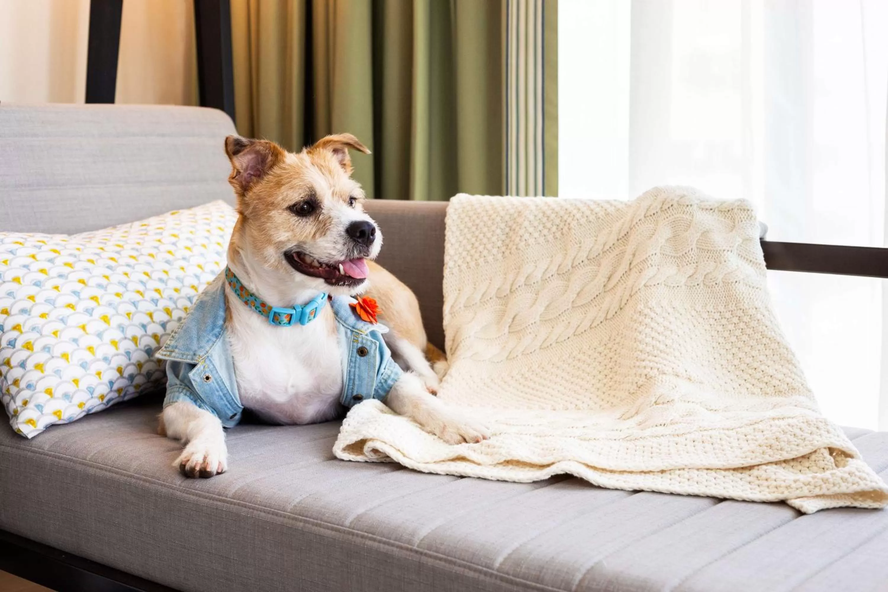 Photo of the whole room in Canopy By Hilton Charlotte SouthPark