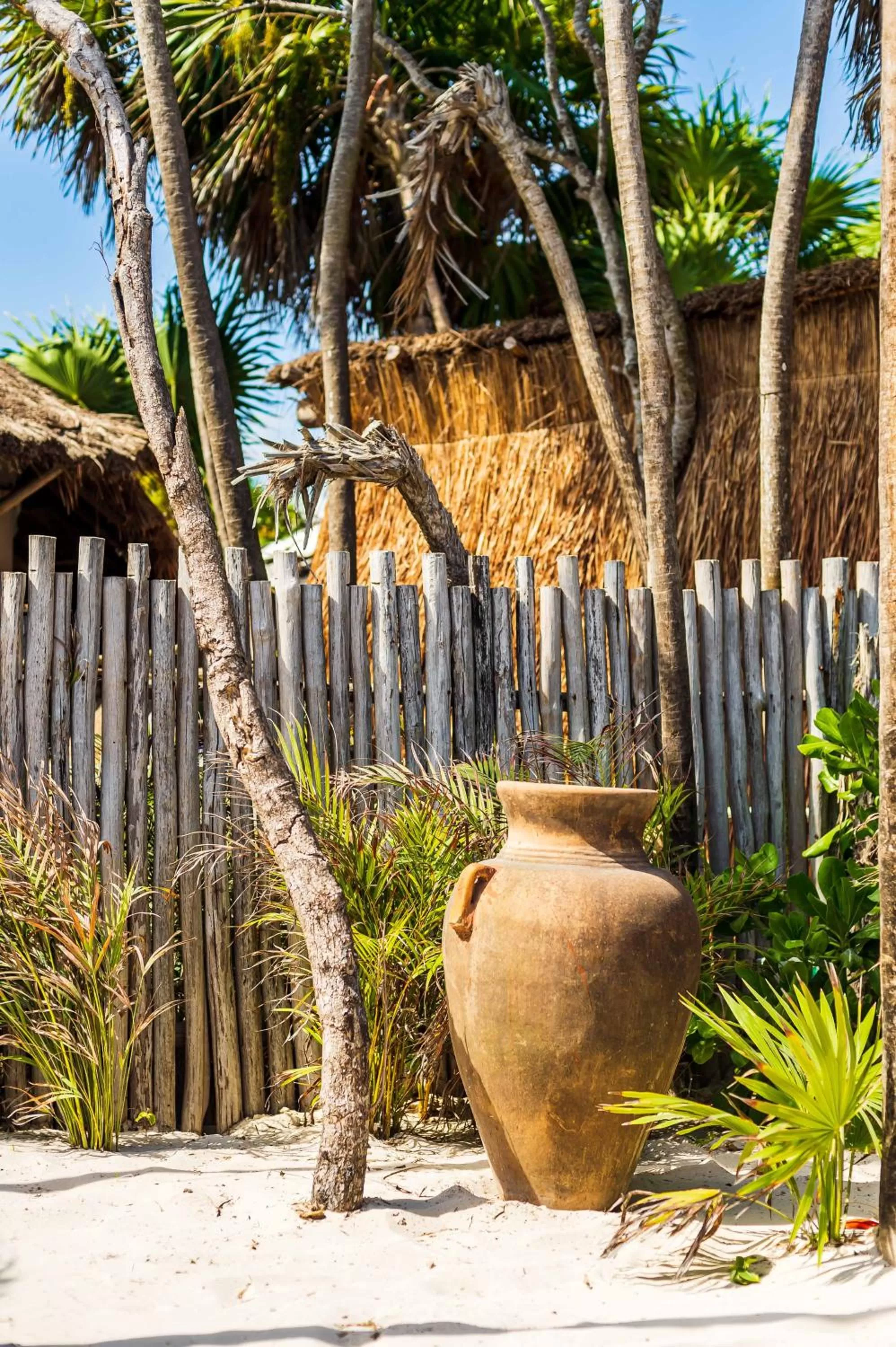 Day in Casa Phoenix Tulum