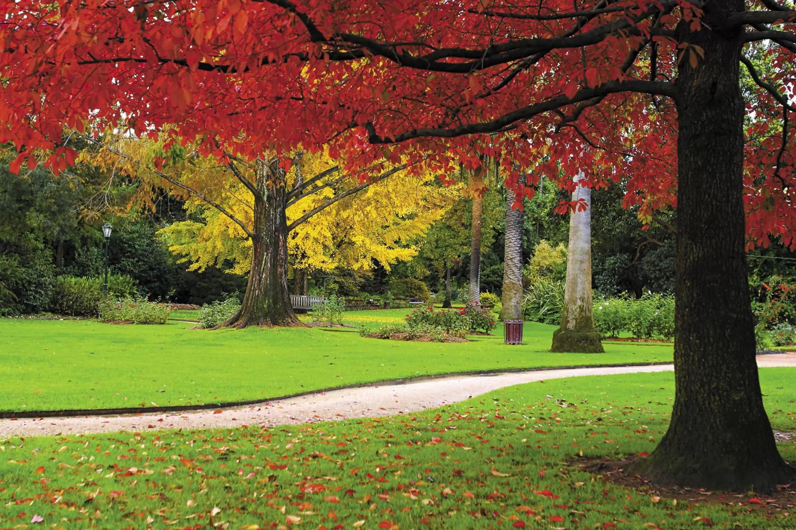 Nearby landmark in Quest Albury on Townsend