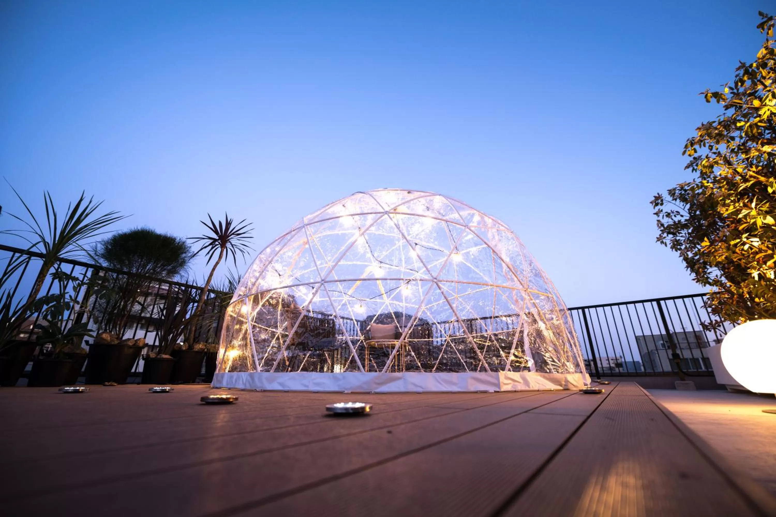 Activities in HOTEL SHIKISAI KYOTO