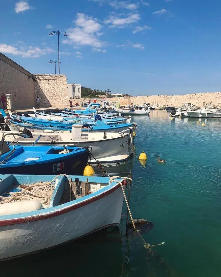 Natural landscape in Hotel Adriatico