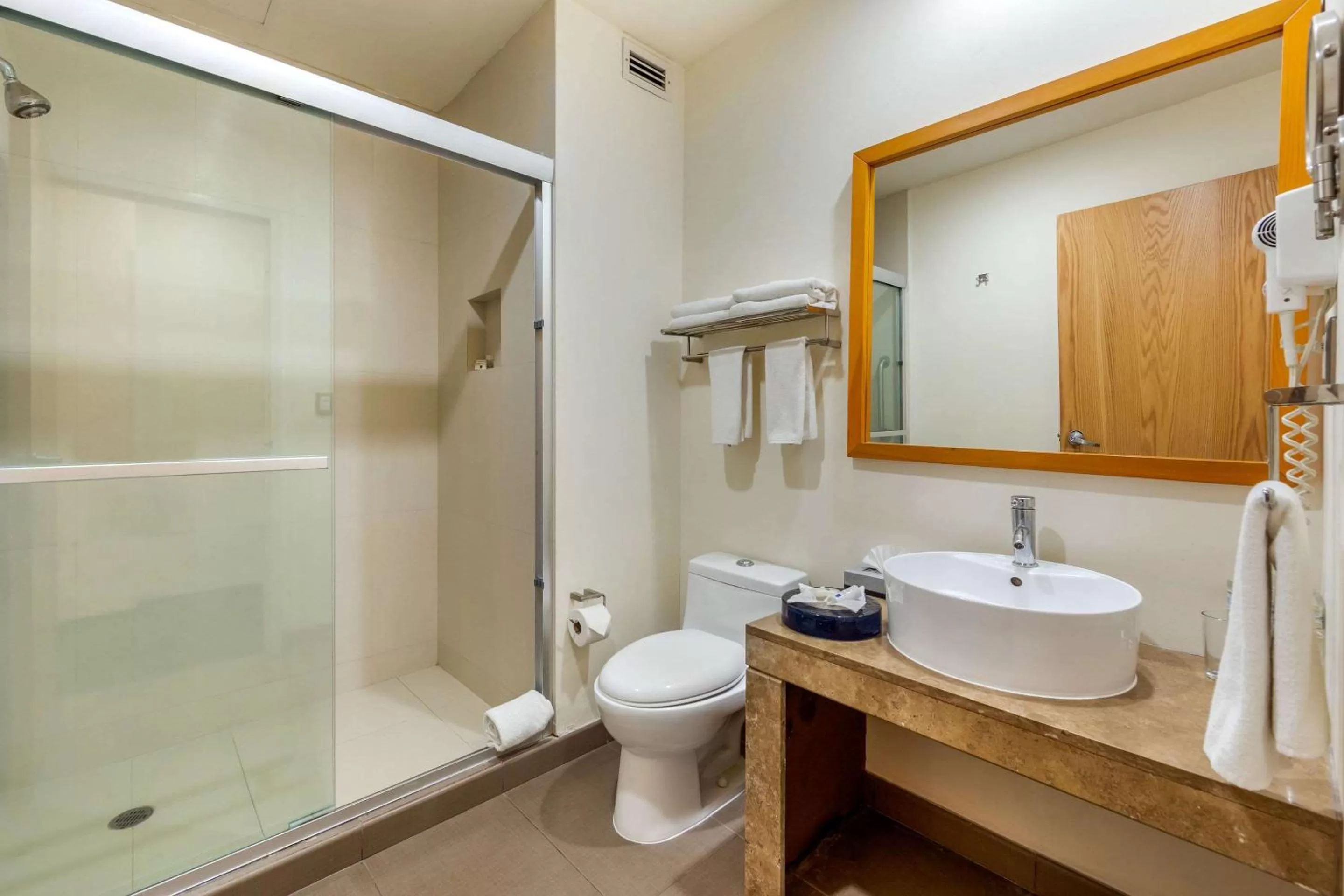 Bathroom in Sleep Inn Torreon