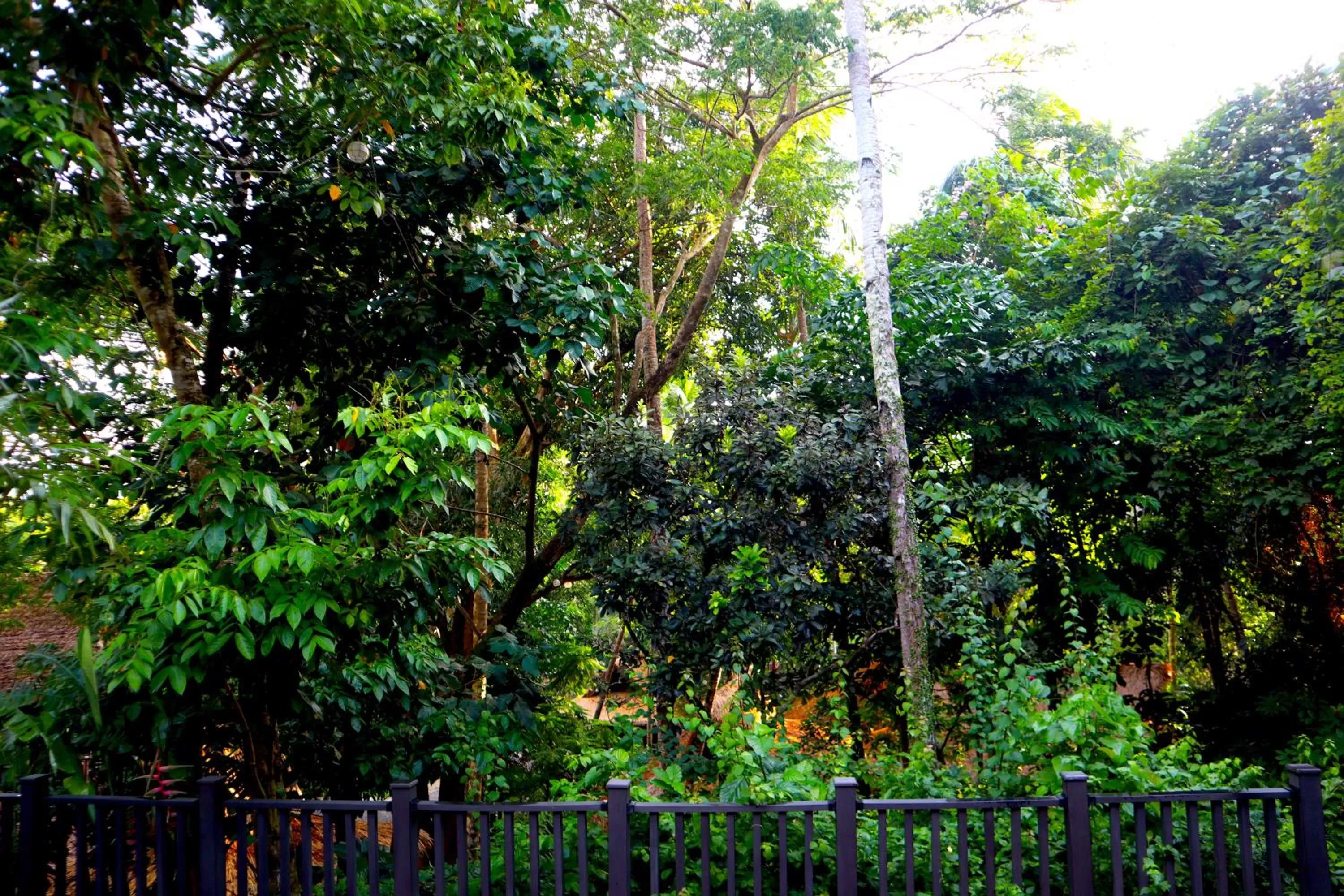 Garden view in Lihim Resorts