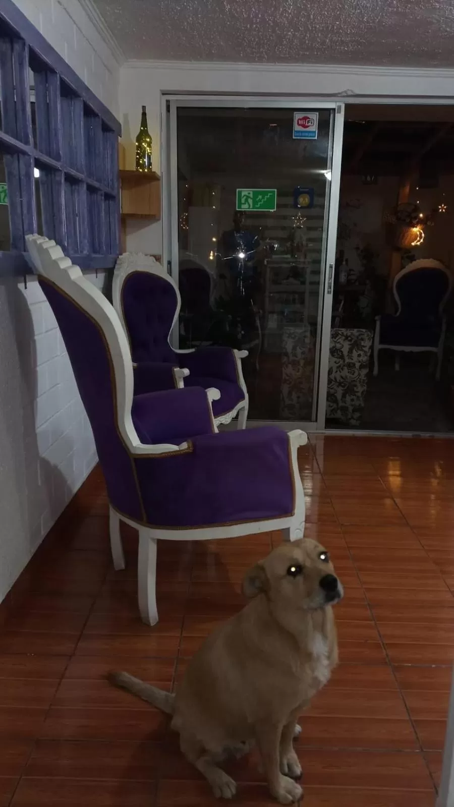 Living room in Shalom_MatSofy