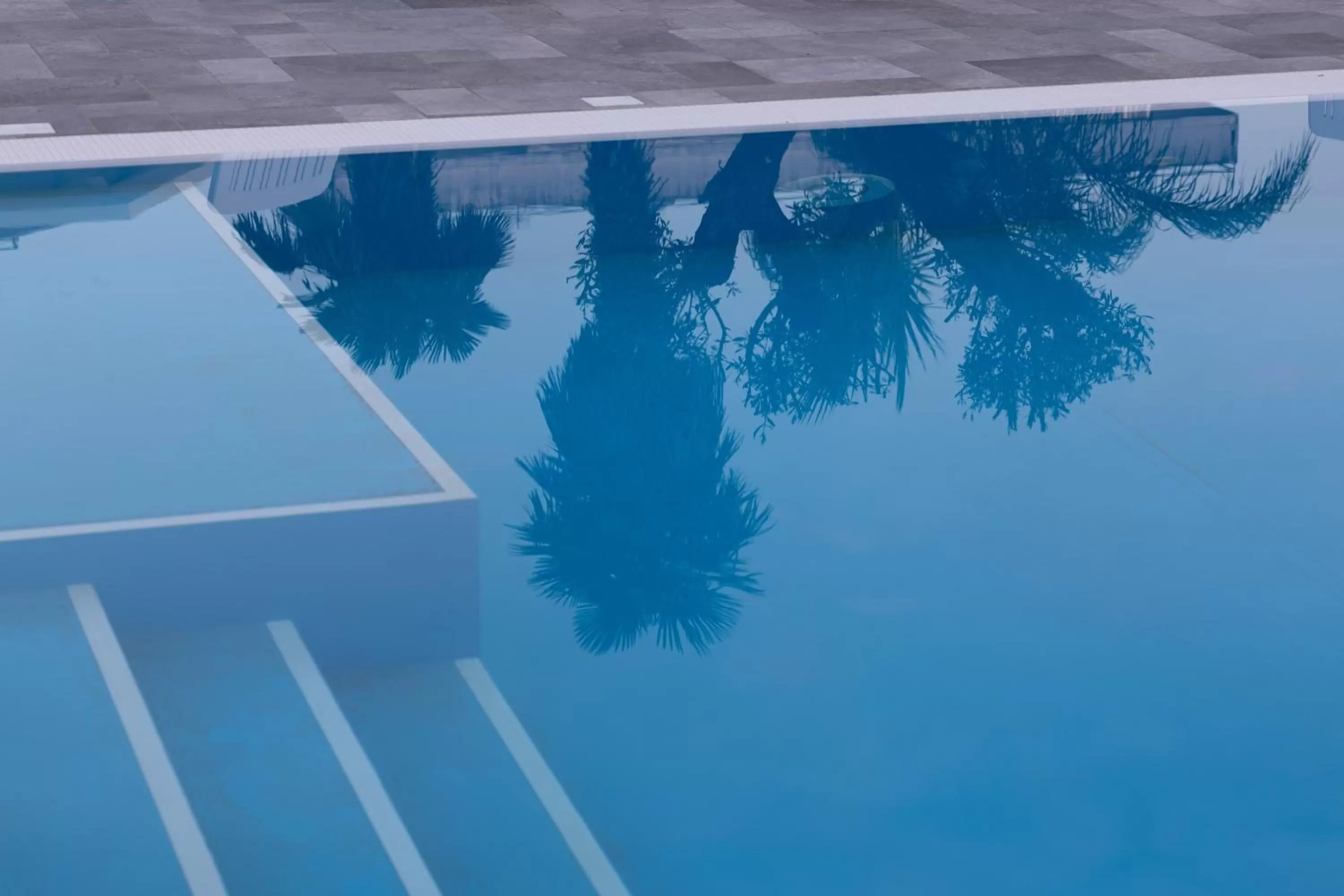 Swimming pool in Rosy's House