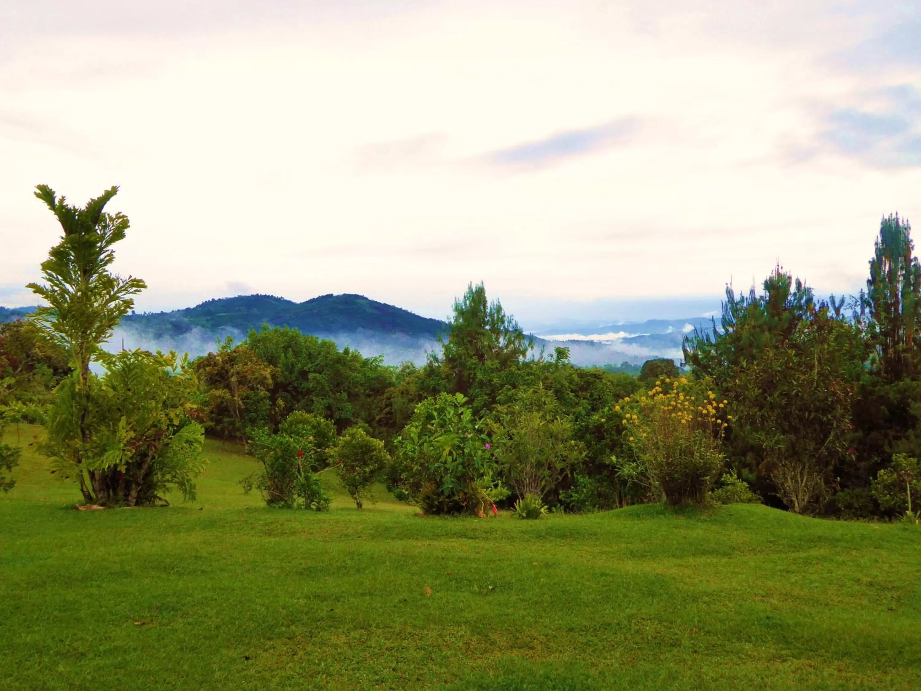 Garden in Finca El Cielo